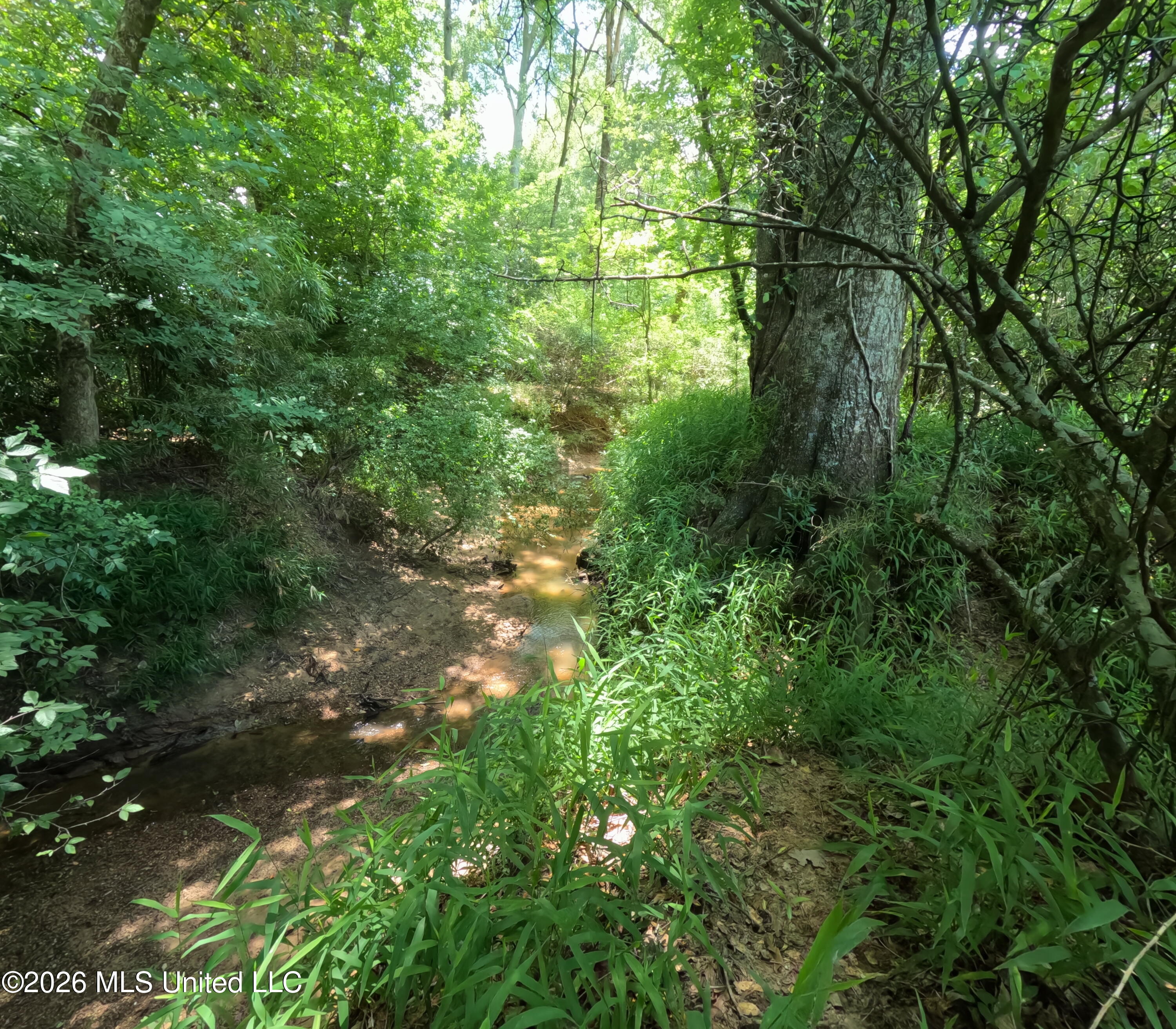 Old Port Gibson/cook Road Property Photo 11