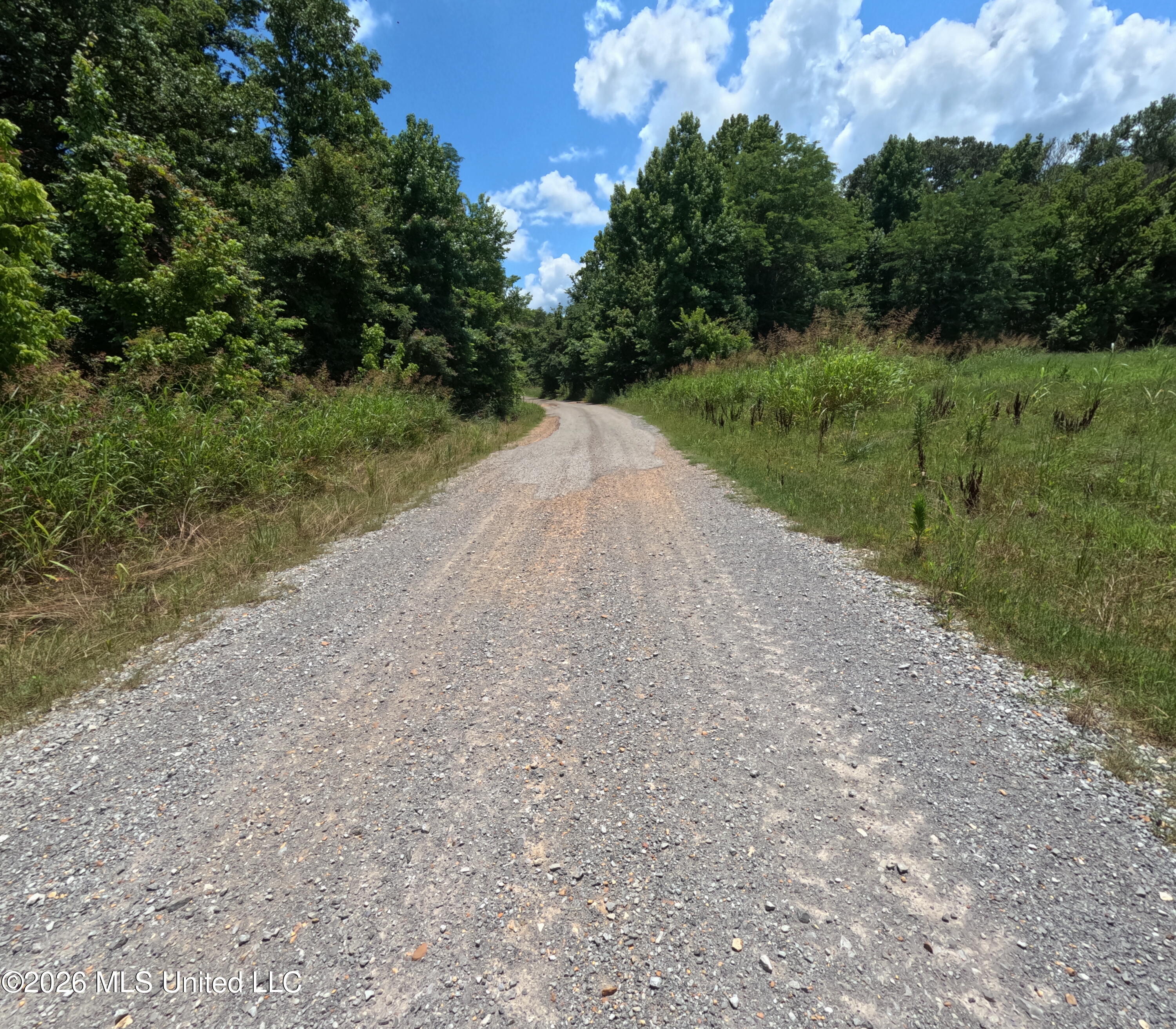 Old Port Gibson/cook Road Property Photo 12