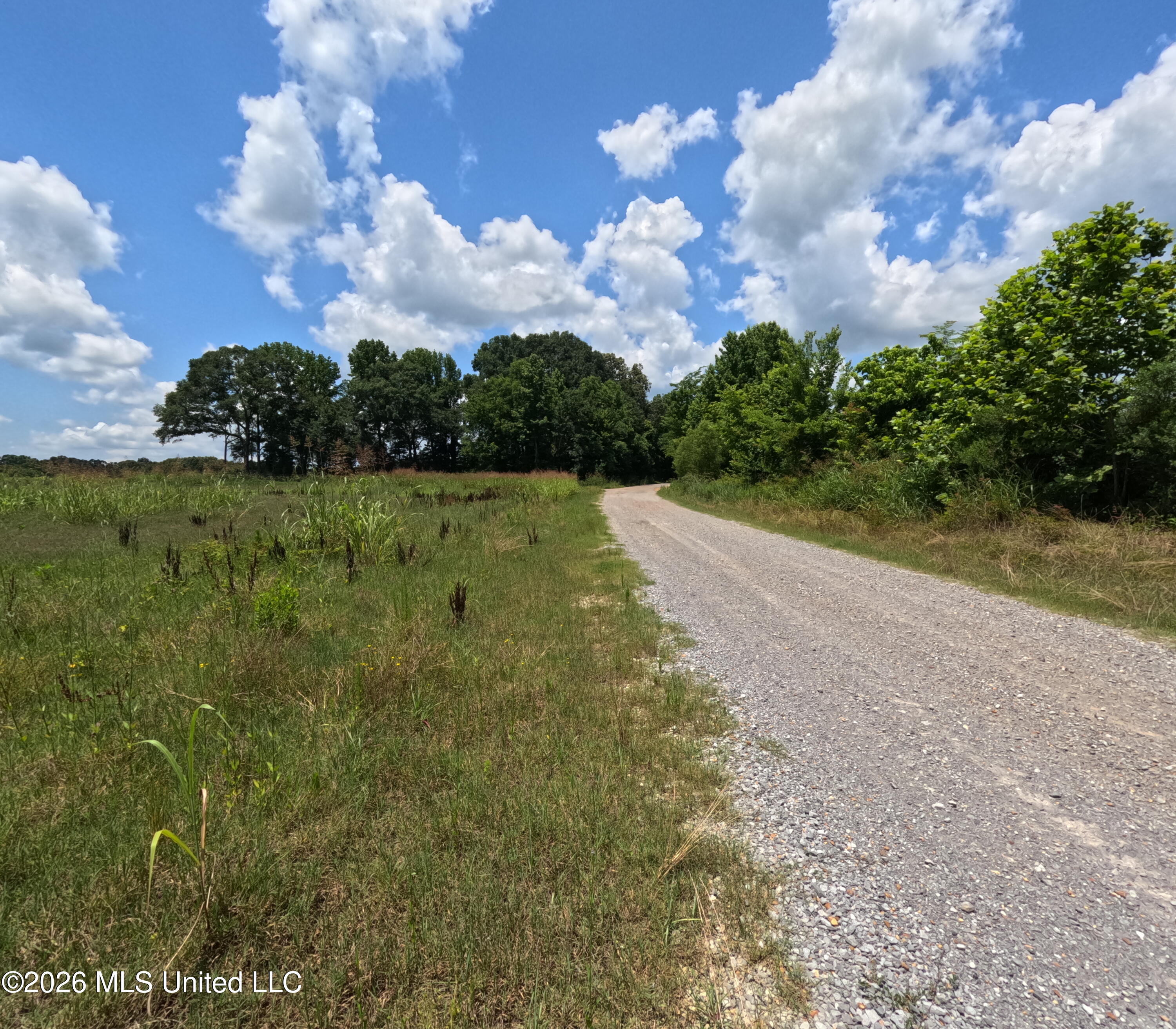 Old Port Gibson/cook Road Property Photo 13