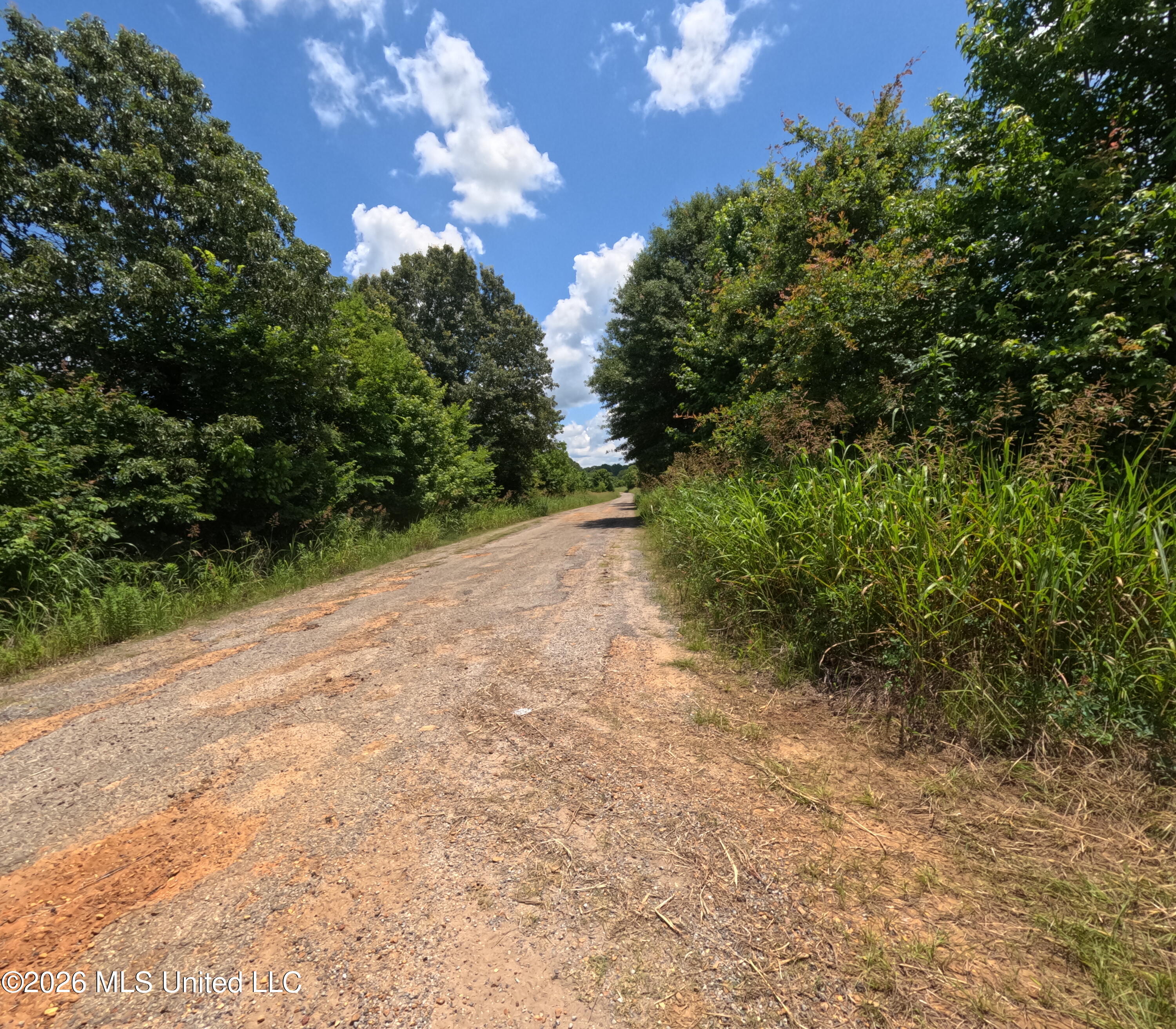 Old Port Gibson/cook Road Property Photo 15