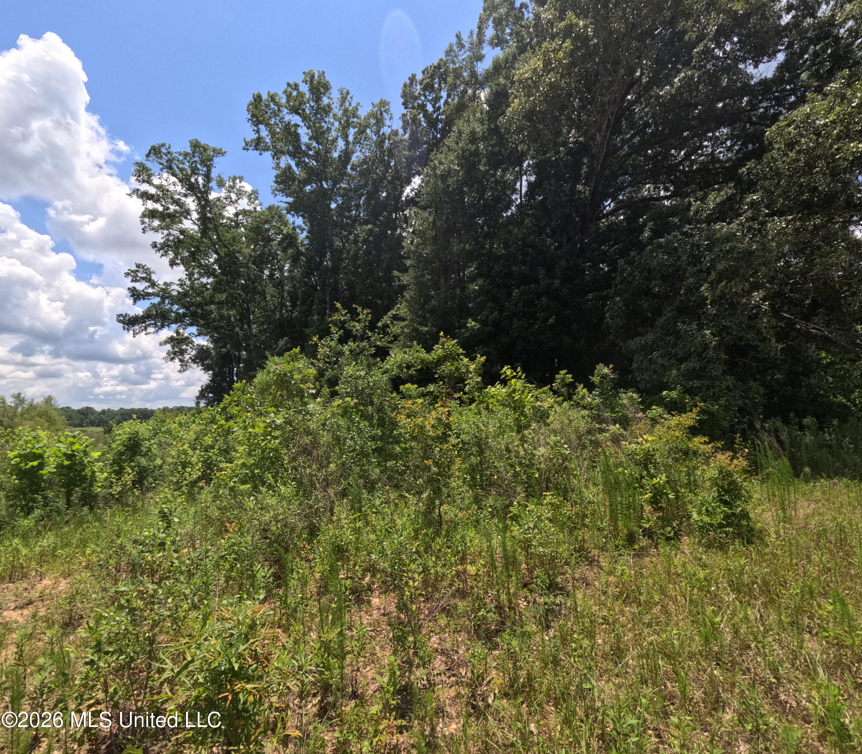 Old Port Gibson/cook Road Property Photo 16