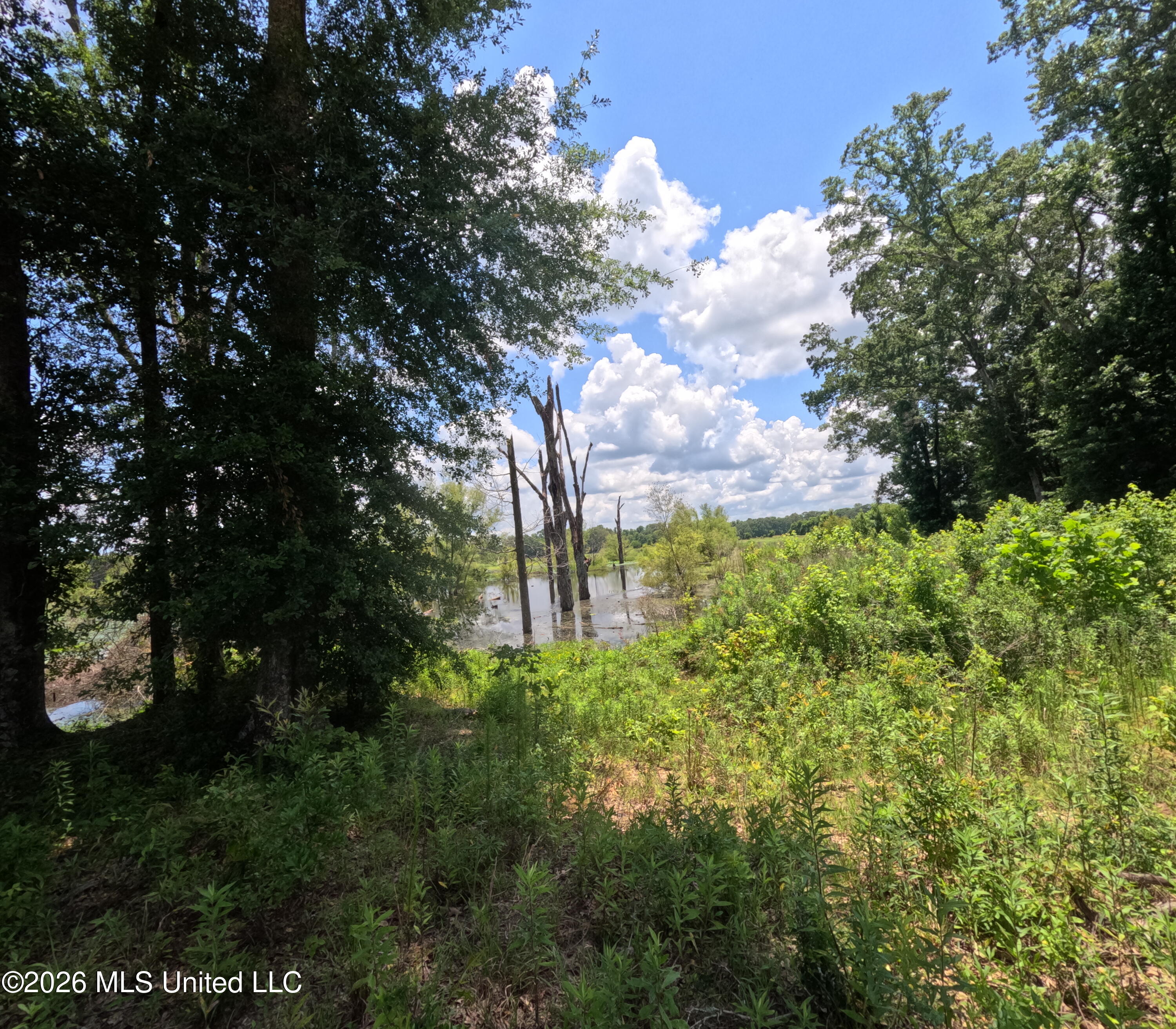Old Port Gibson/cook Road Property Photo 18