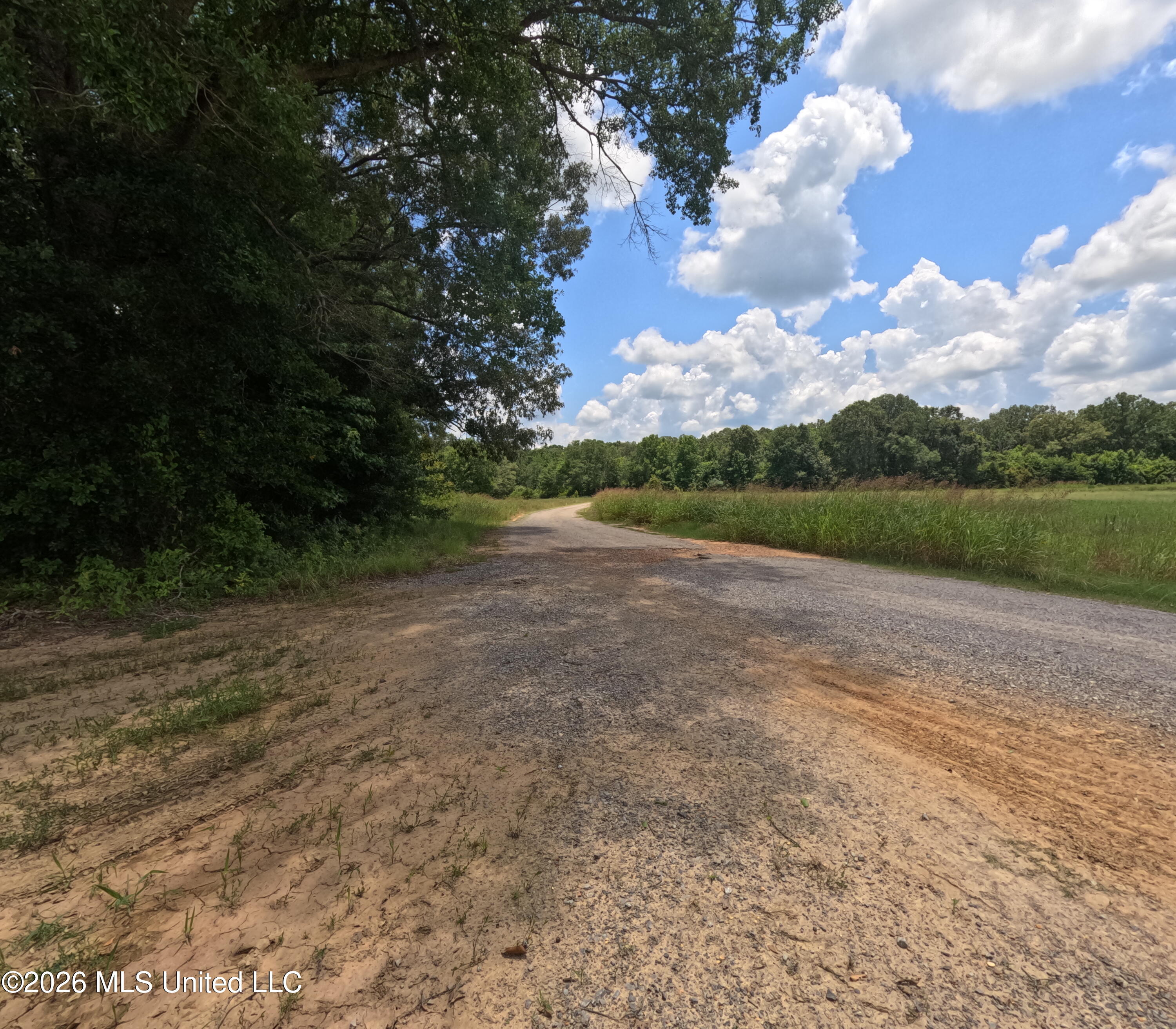 Old Port Gibson/cook Road Property Photo 19
