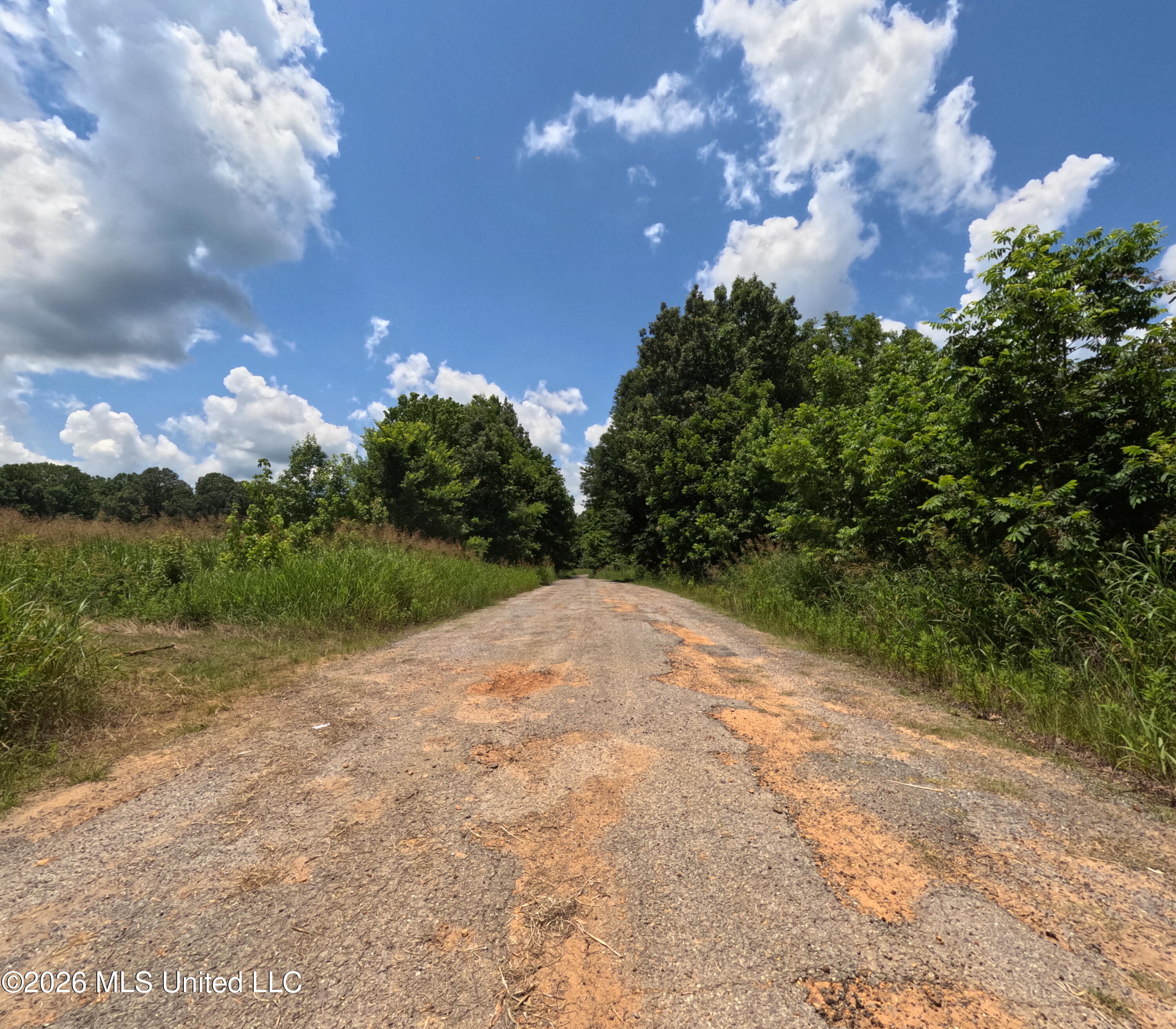 Old Port Gibson/cook Road Property Photo 20