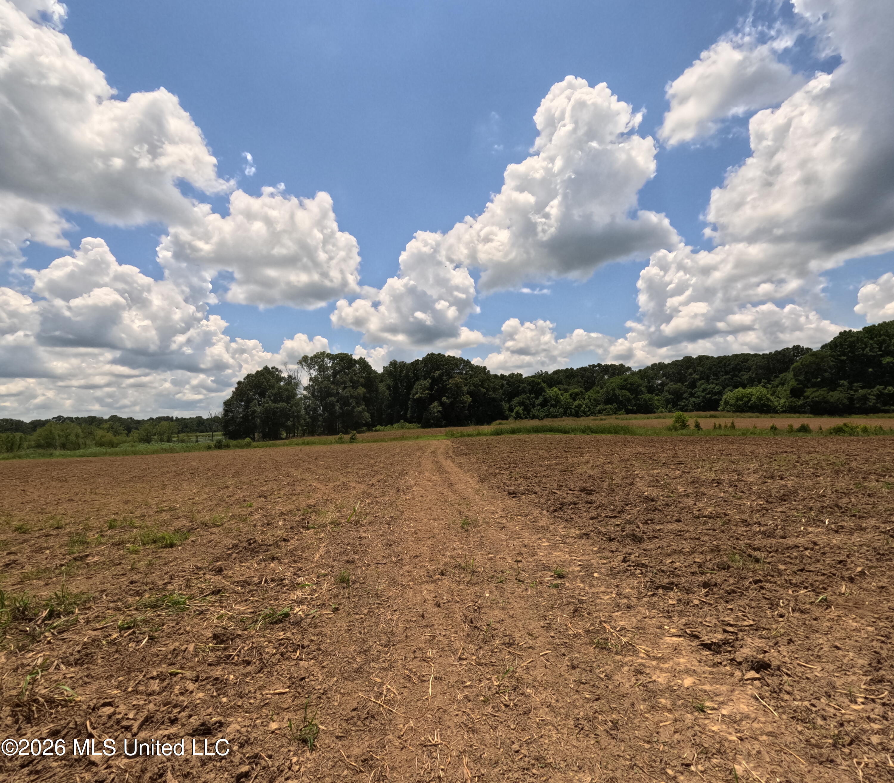 Old Port Gibson/cook Road Property Photo 21