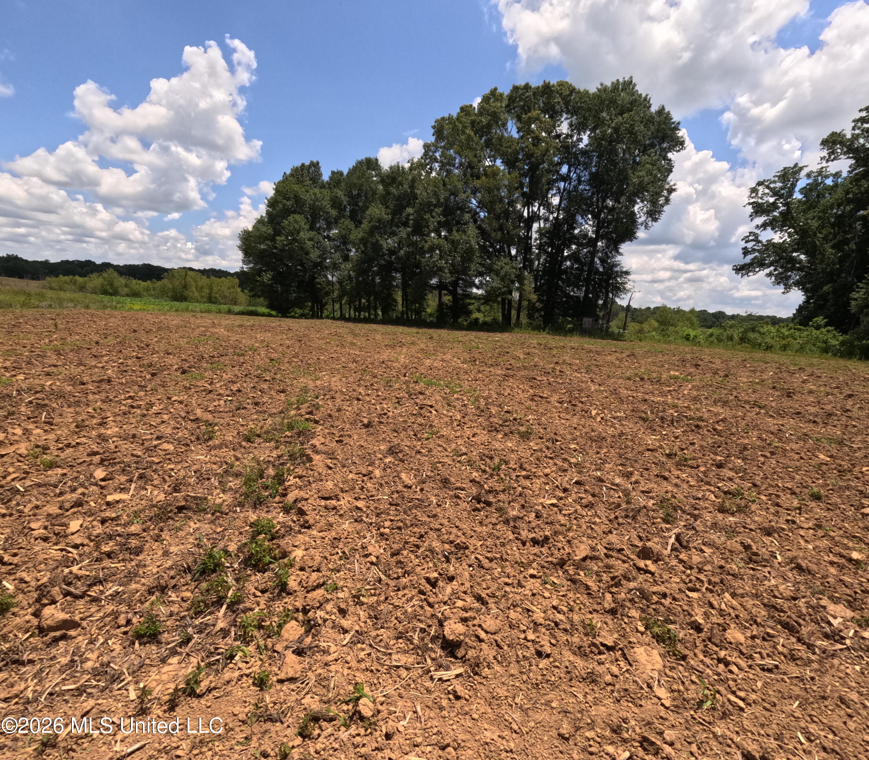 Old Port Gibson/cook Road Property Photo 22