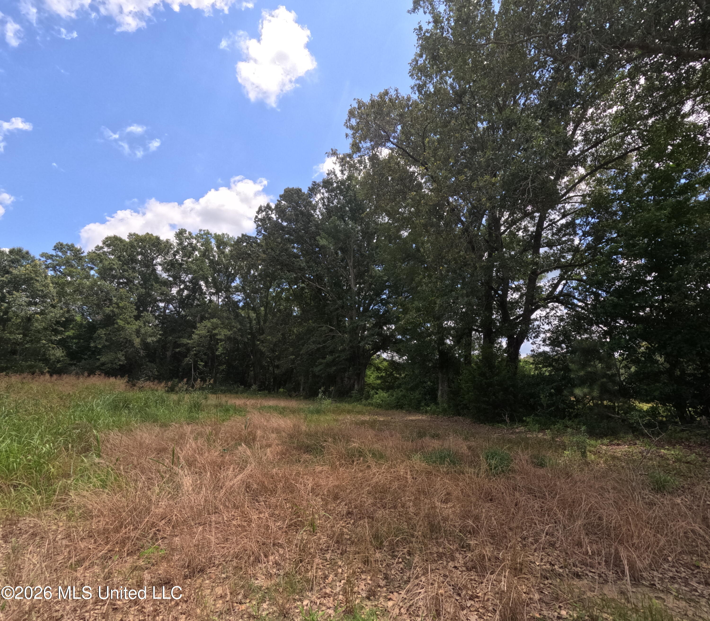 Old Port Gibson/cook Road Property Photo 23