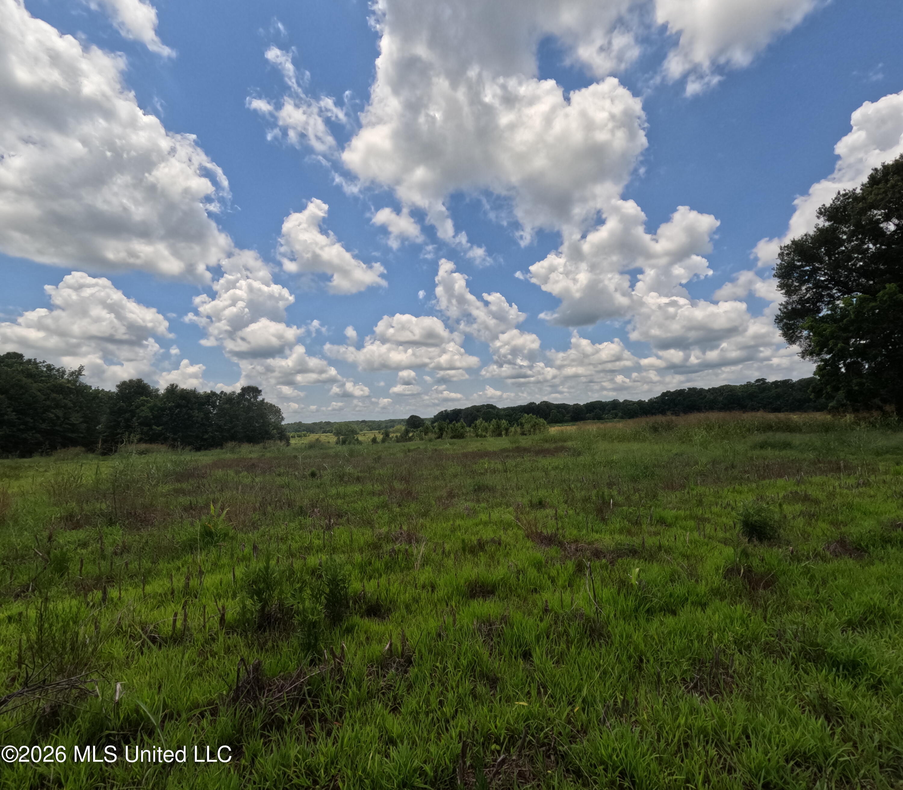 Old Port Gibson/cook Road Property Photo 24