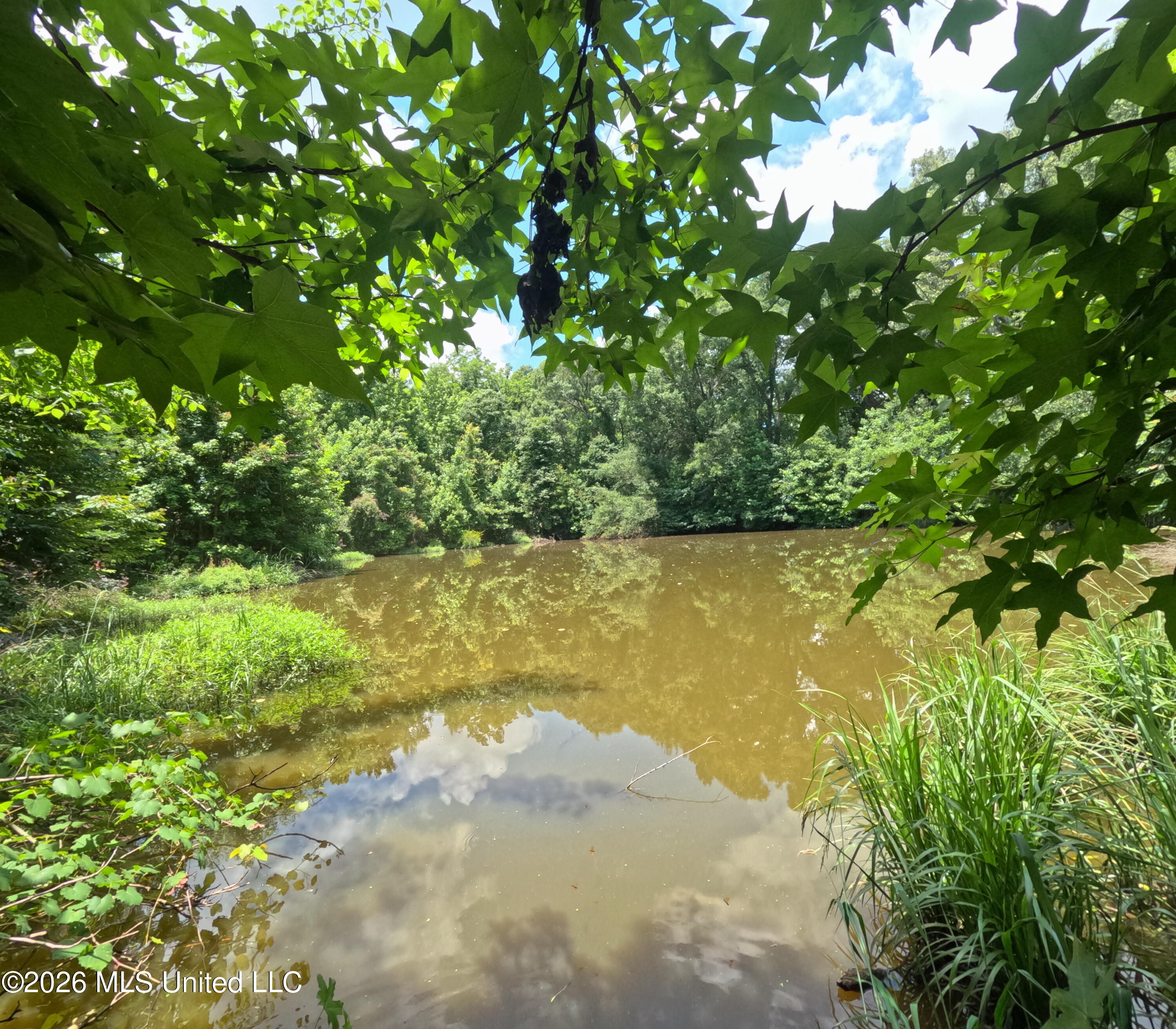 Old Port Gibson/cook Road Property Photo 26