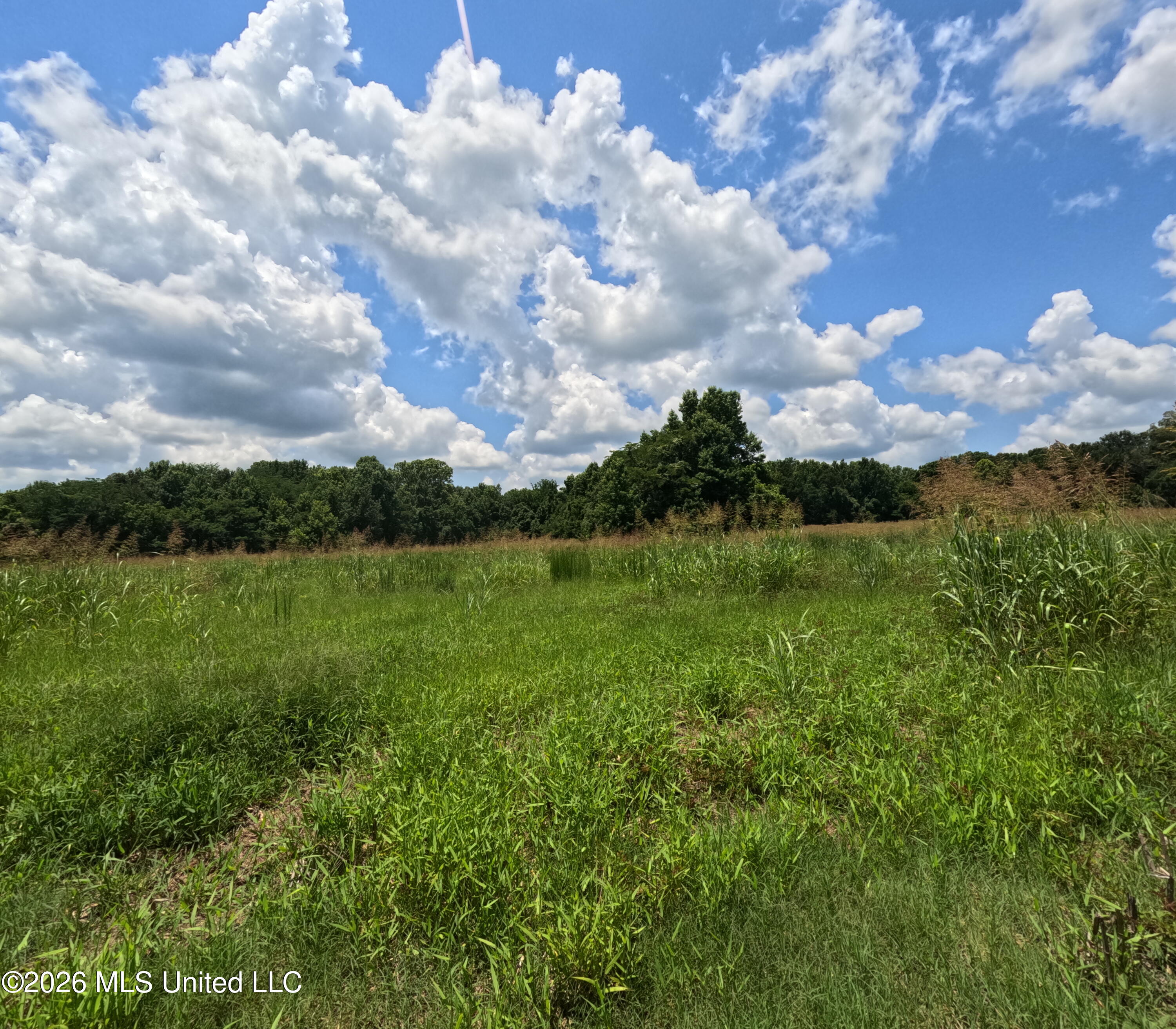 Old Port Gibson/cook Road Property Photo 27