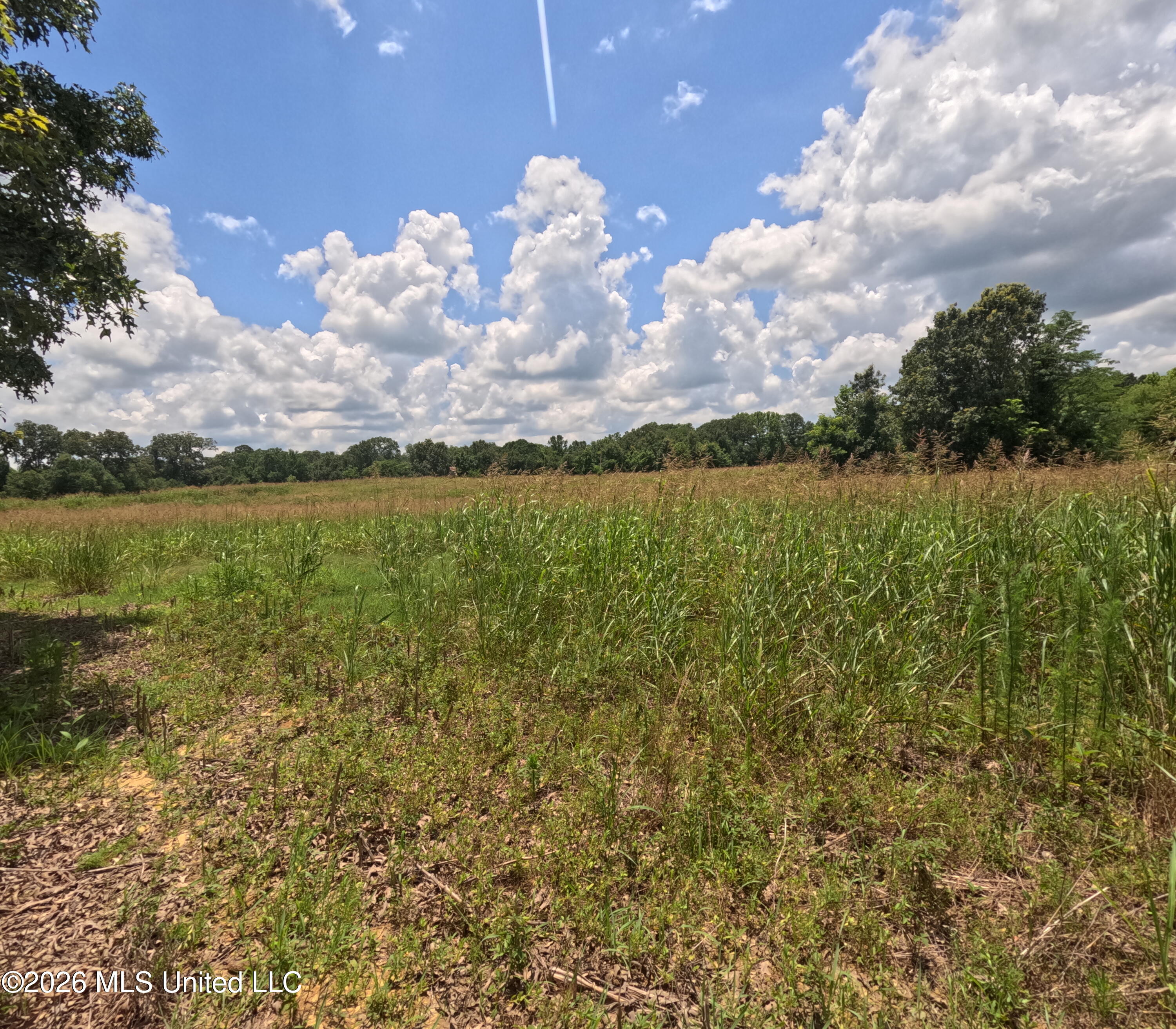Old Port Gibson/cook Road Property Photo 28