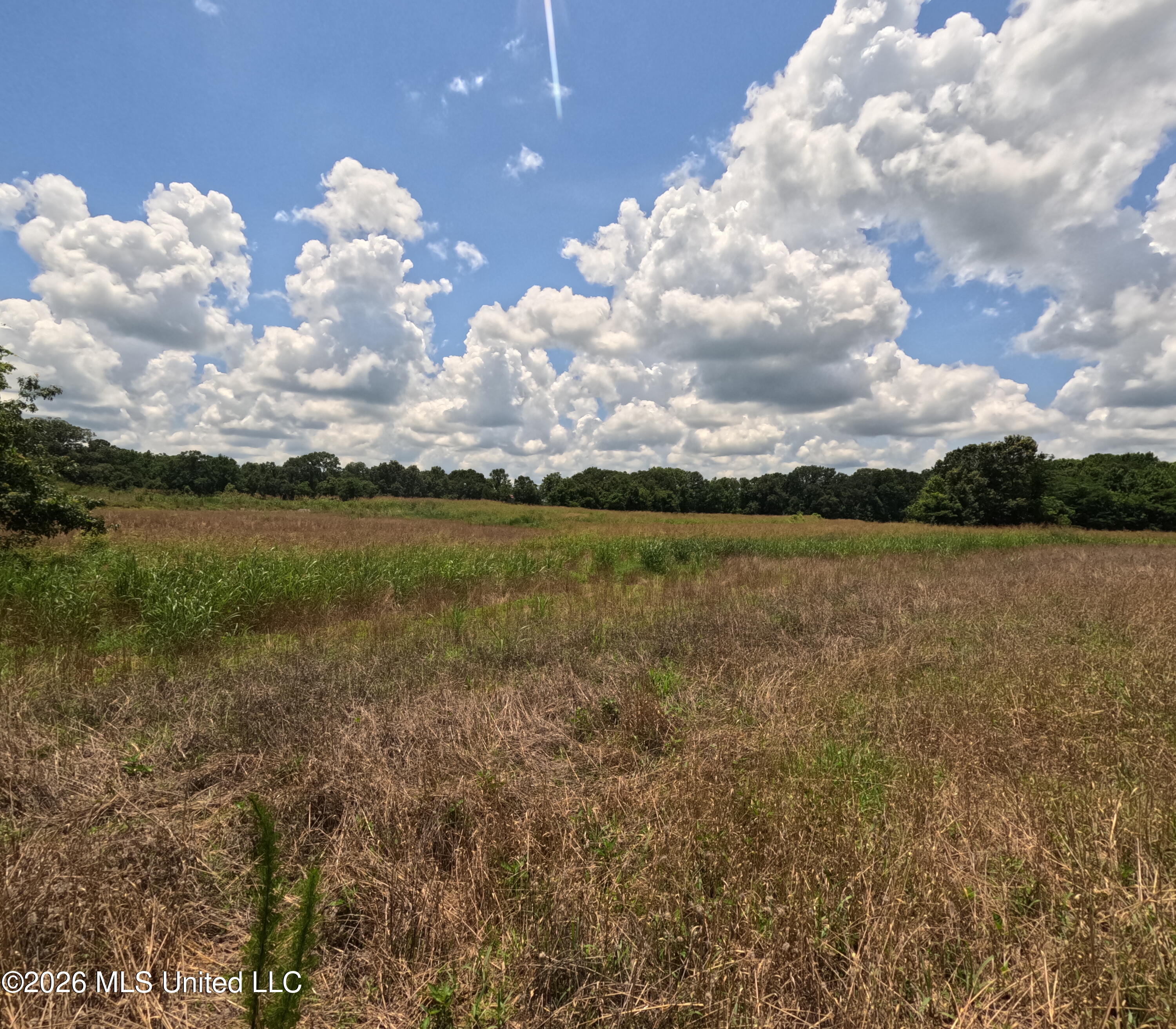 Old Port Gibson/cook Road Property Photo 29
