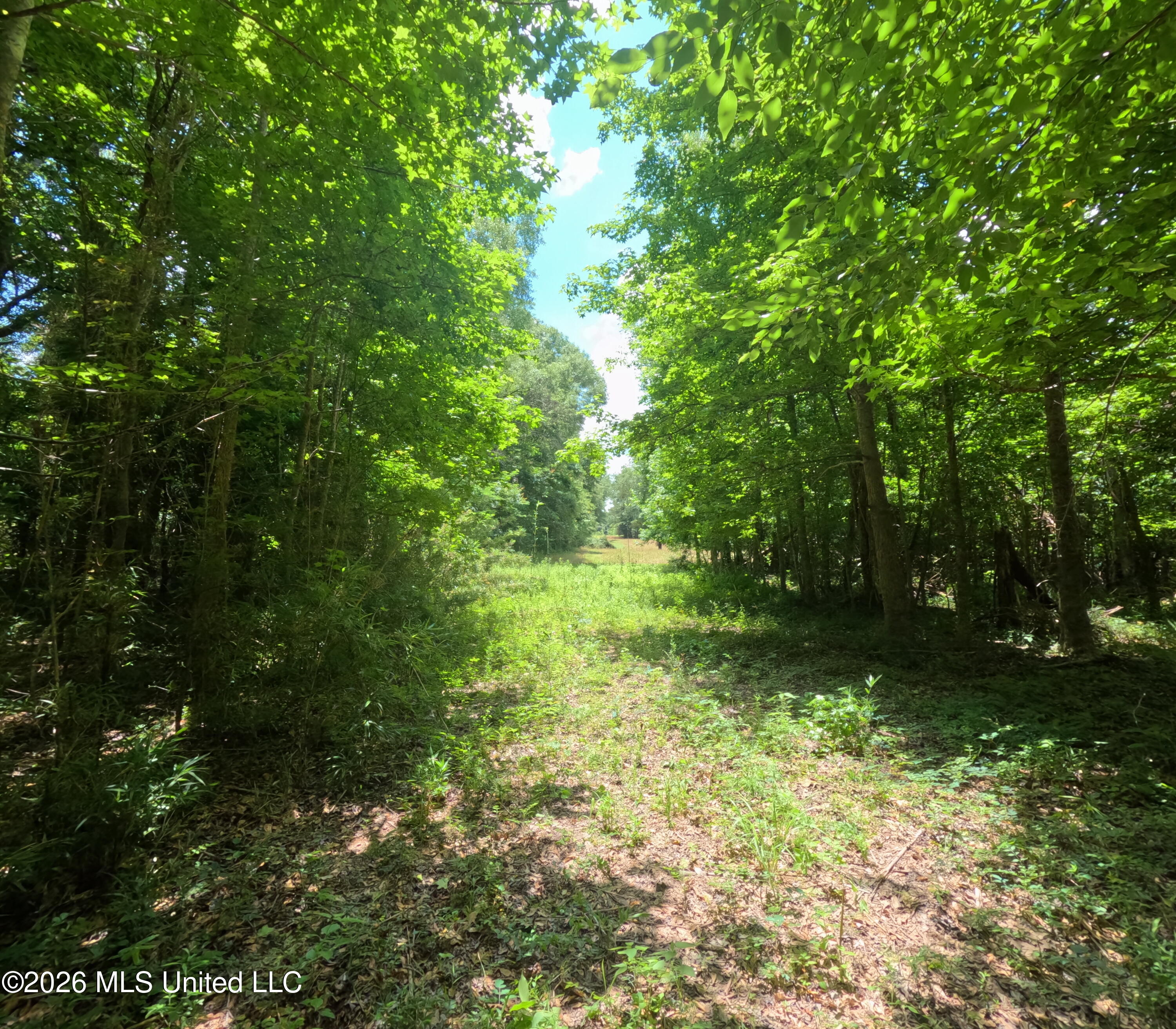 Old Port Gibson/cook Road Property Photo 30
