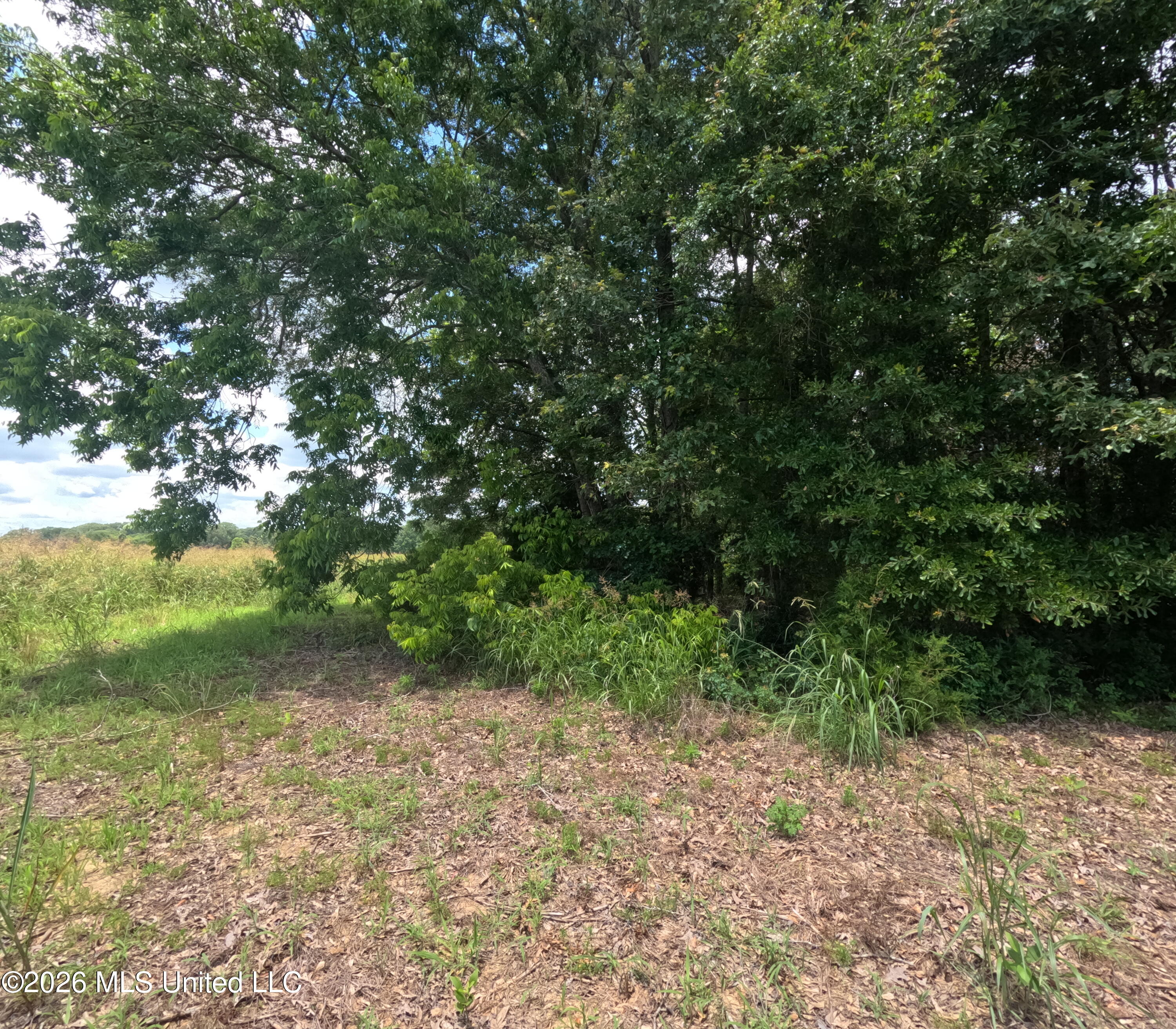 Old Port Gibson/cook Road Property Photo 32