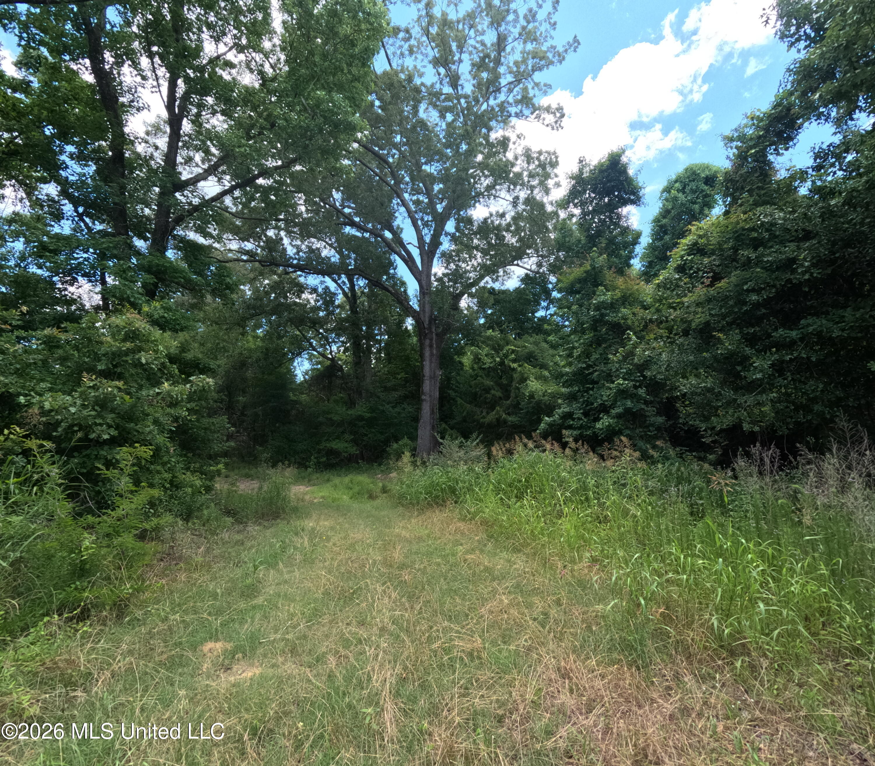 Old Port Gibson/cook Road Property Photo 33