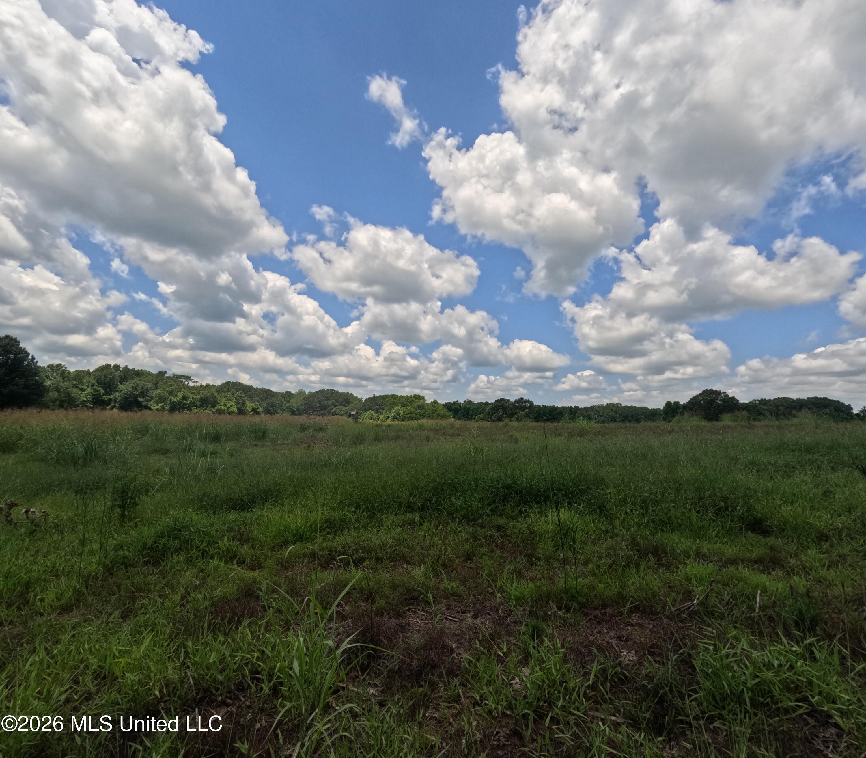 Old Port Gibson/cook Road Property Photo 34