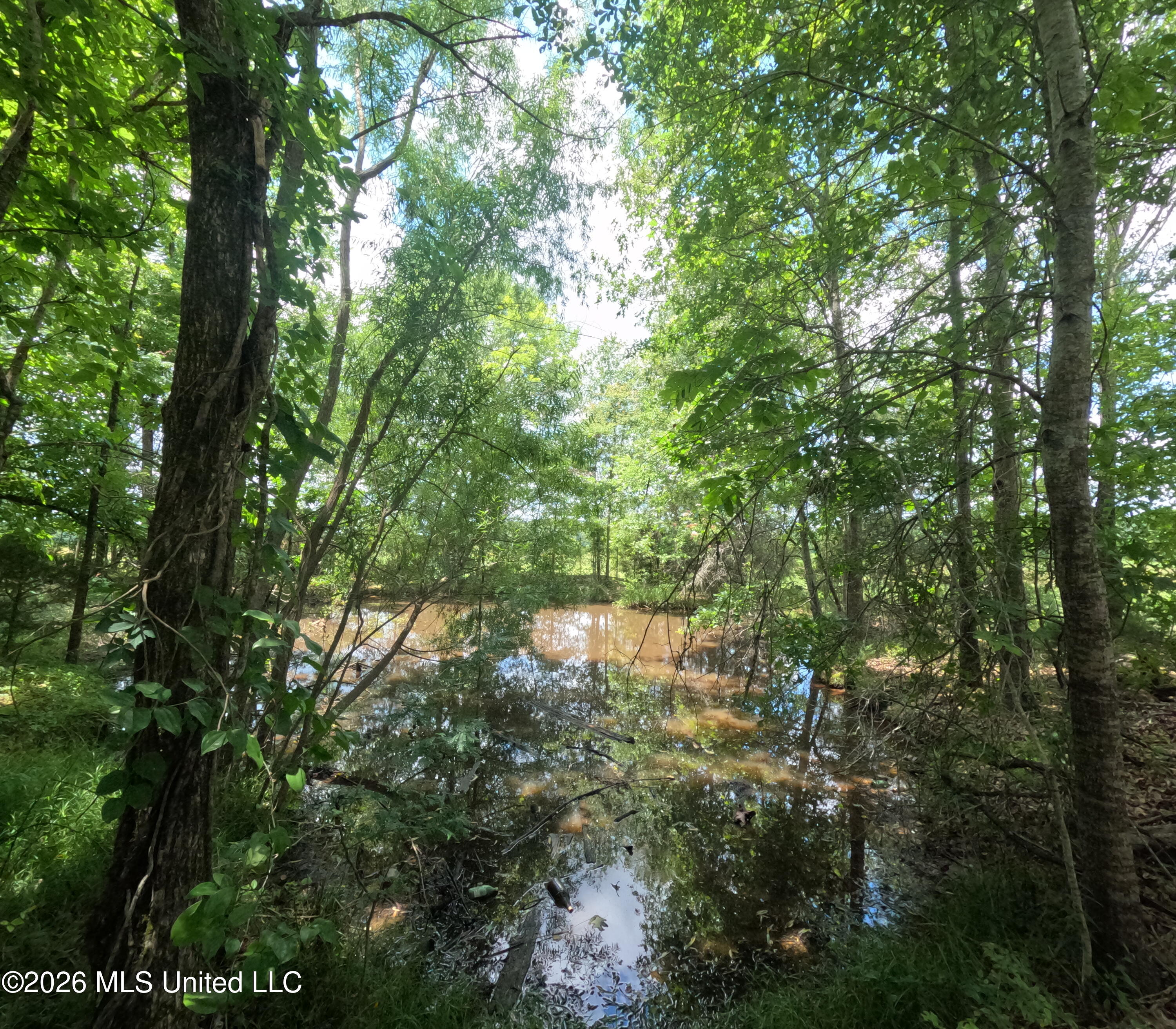 Old Port Gibson/cook Road Property Photo 38
