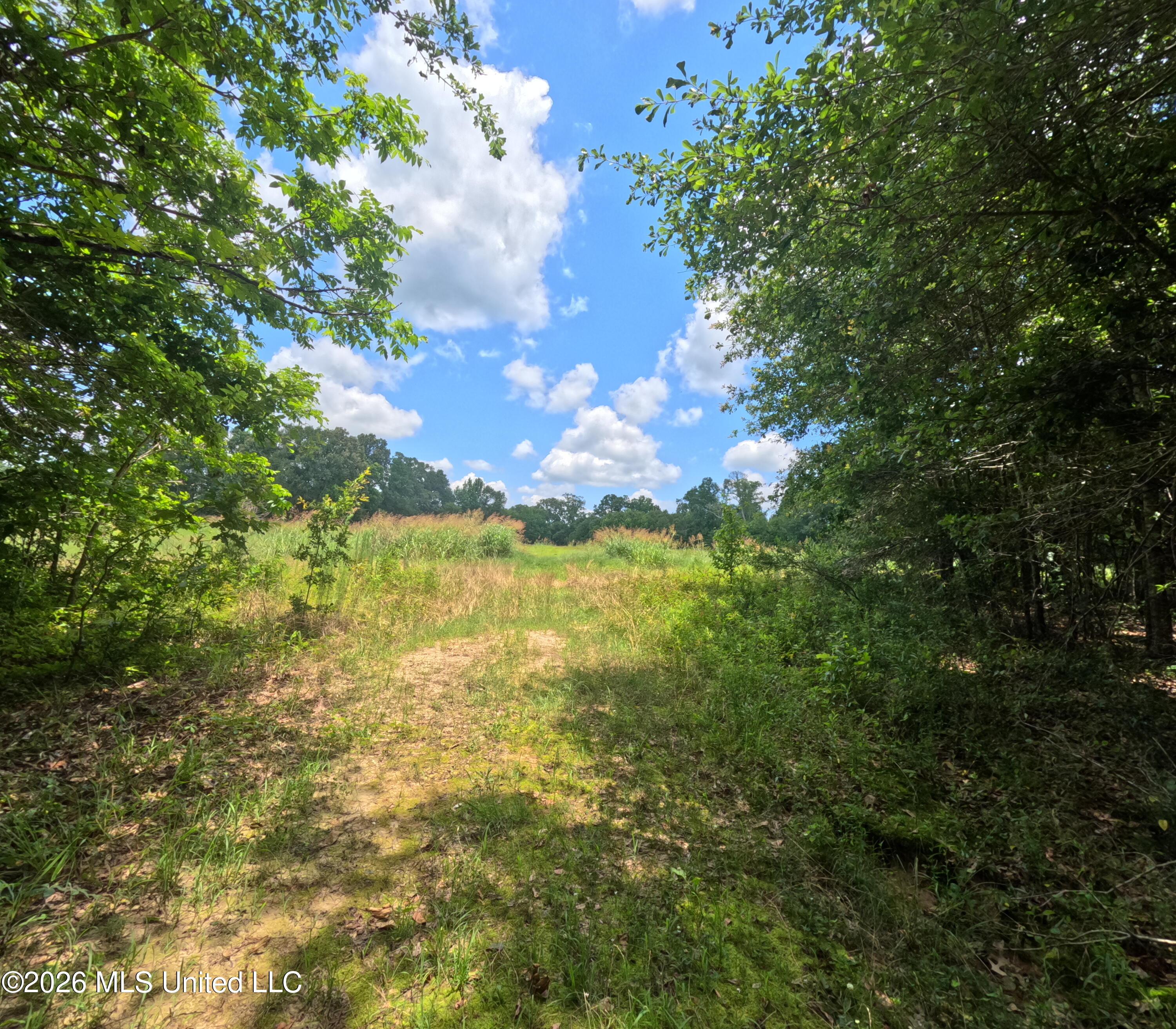 Old Port Gibson/cook Road Property Photo 40