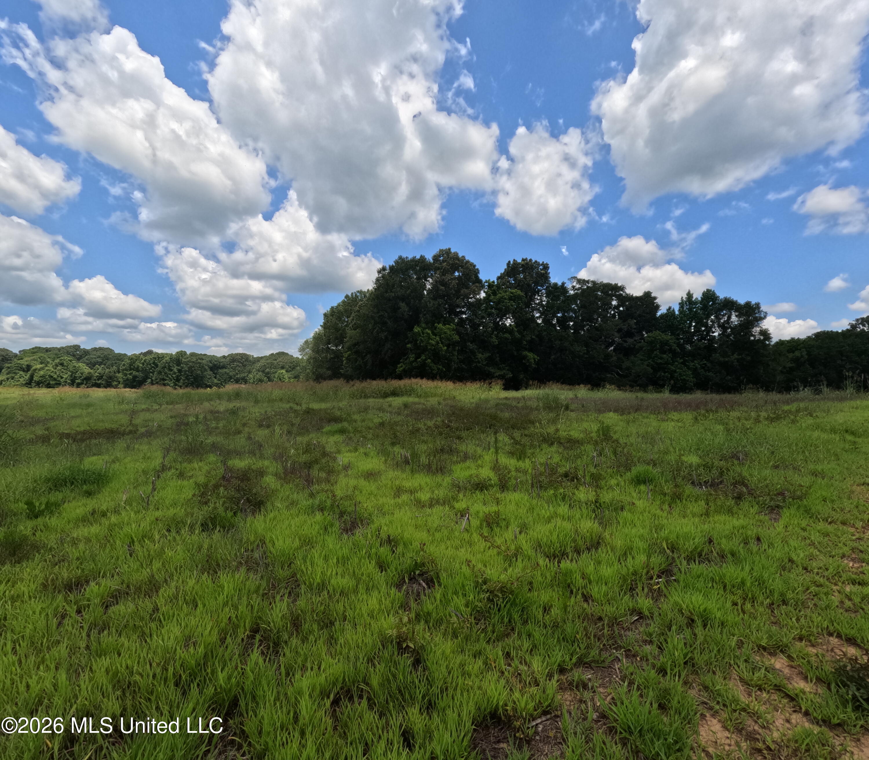 Old Port Gibson/cook Road Property Photo 41