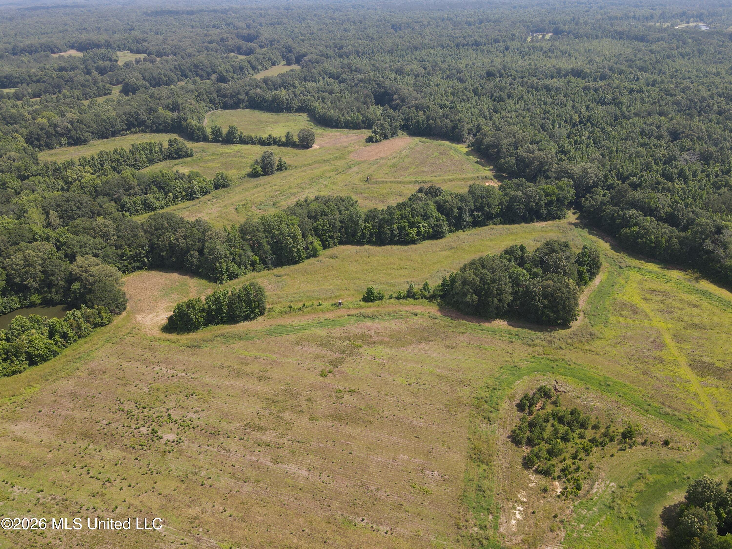 Old Port Gibson/cook Road Property Photo 42
