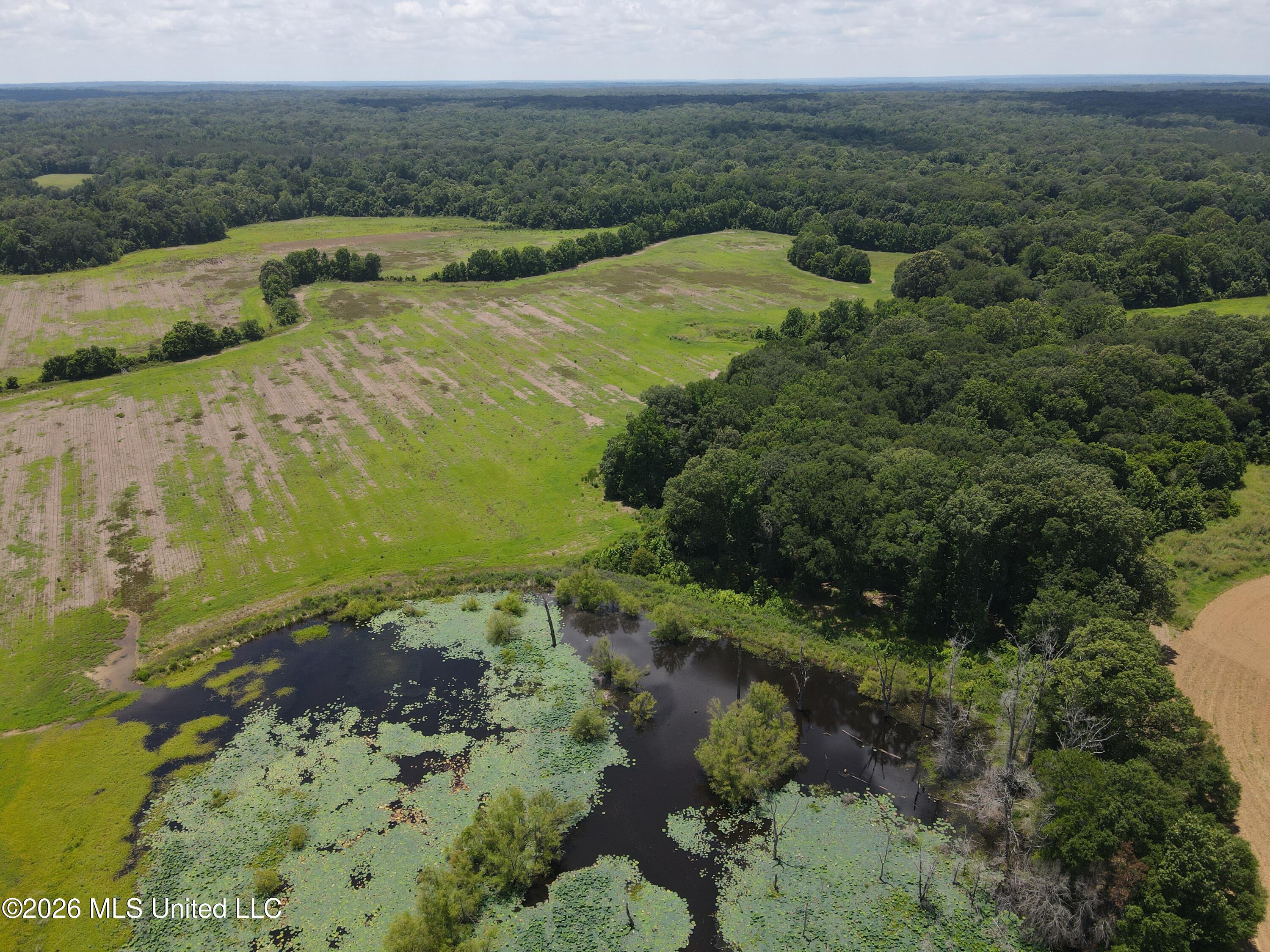 Old Port Gibson/cook Road Property Photo 43