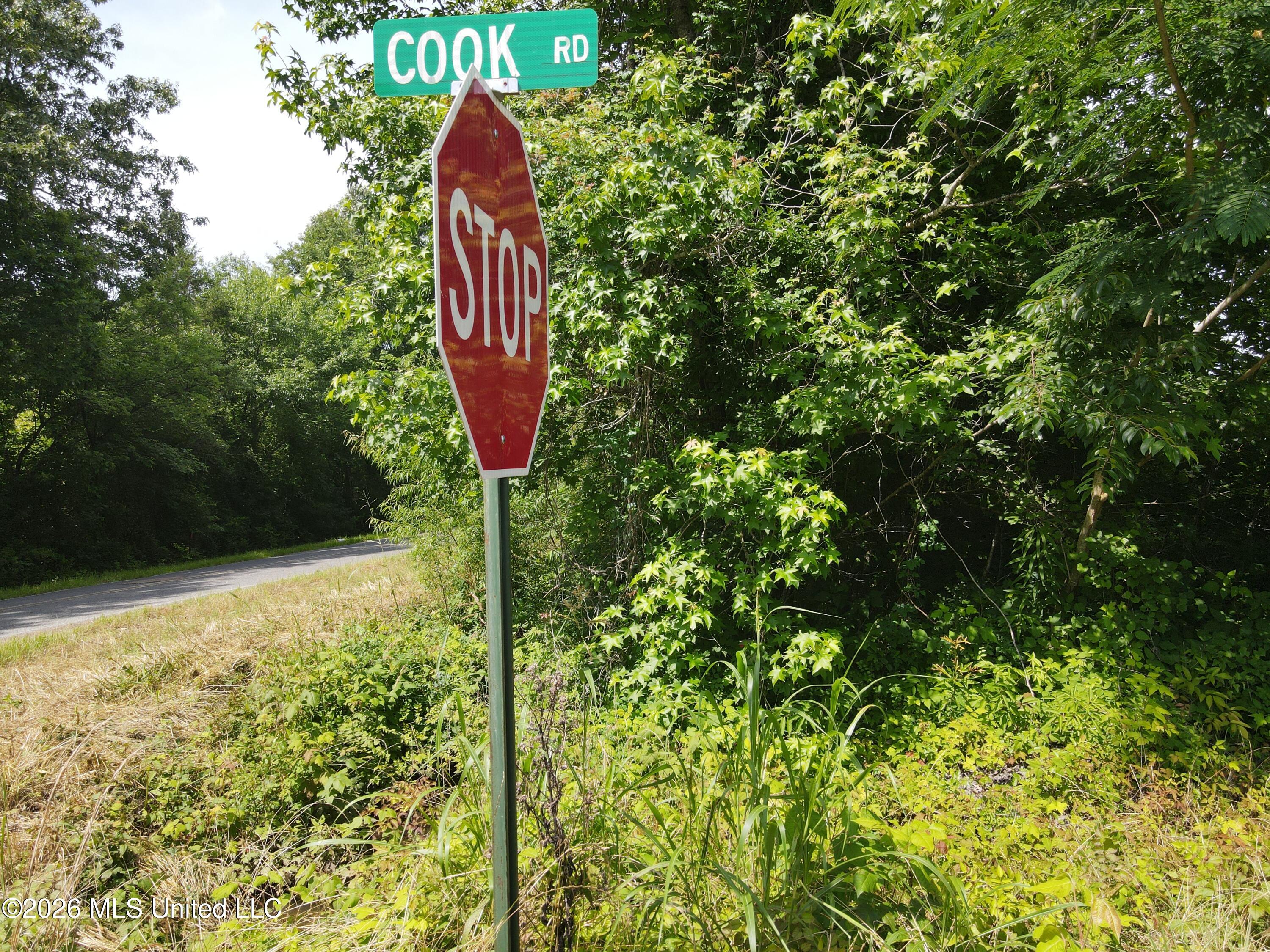 Old Port Gibson/cook Road Property Photo 47