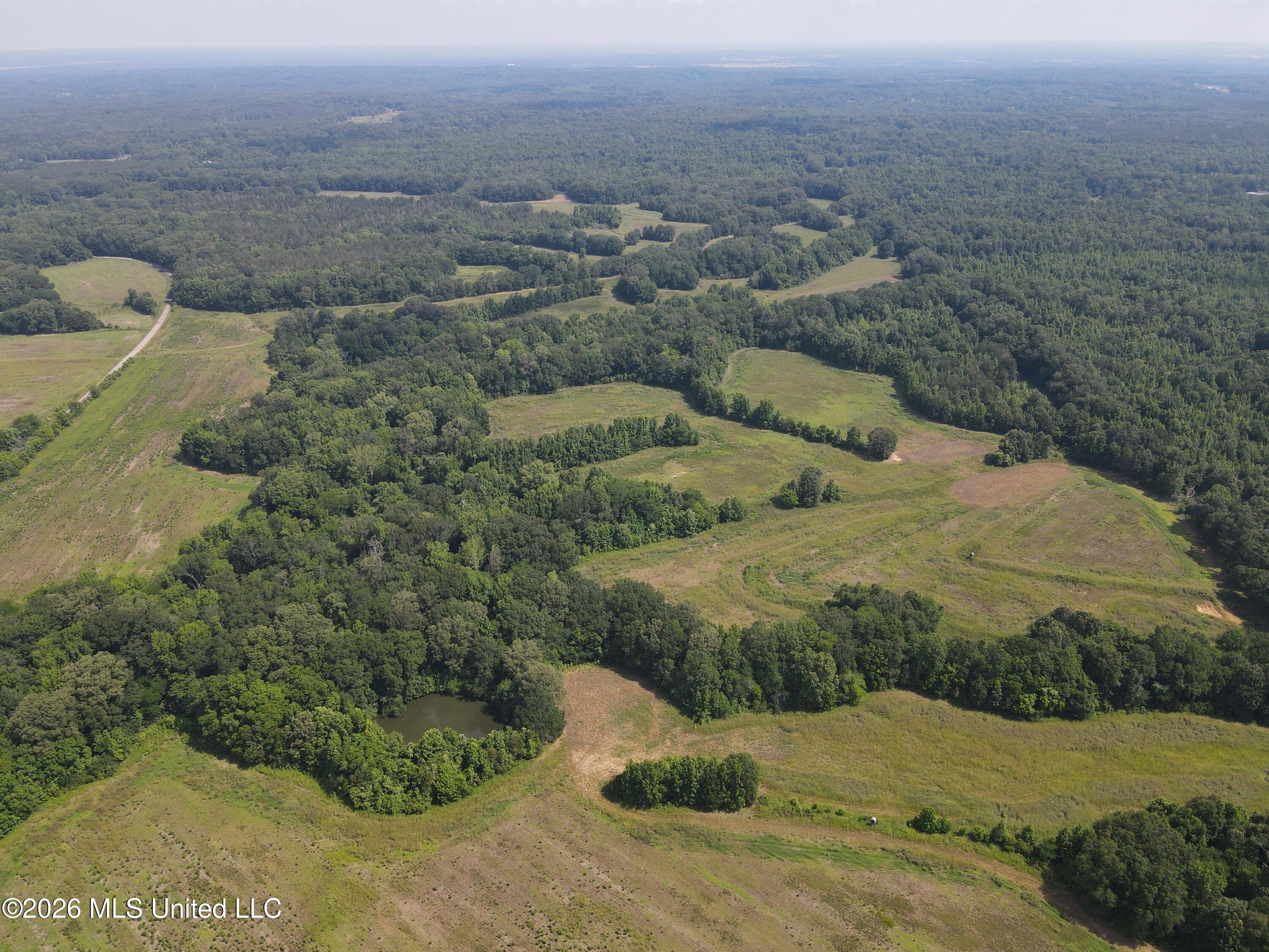 Old Port Gibson/cook Road Property Photo 52