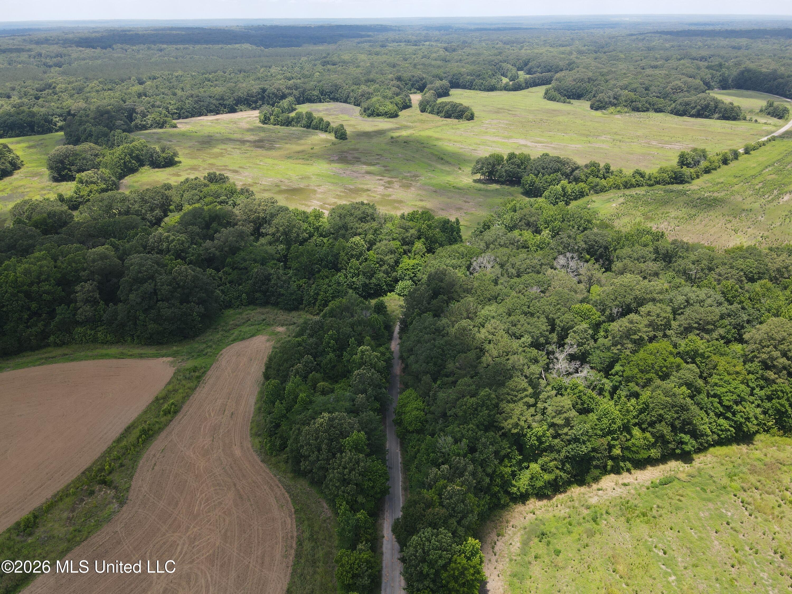 Old Port Gibson/cook Road Property Photo 55