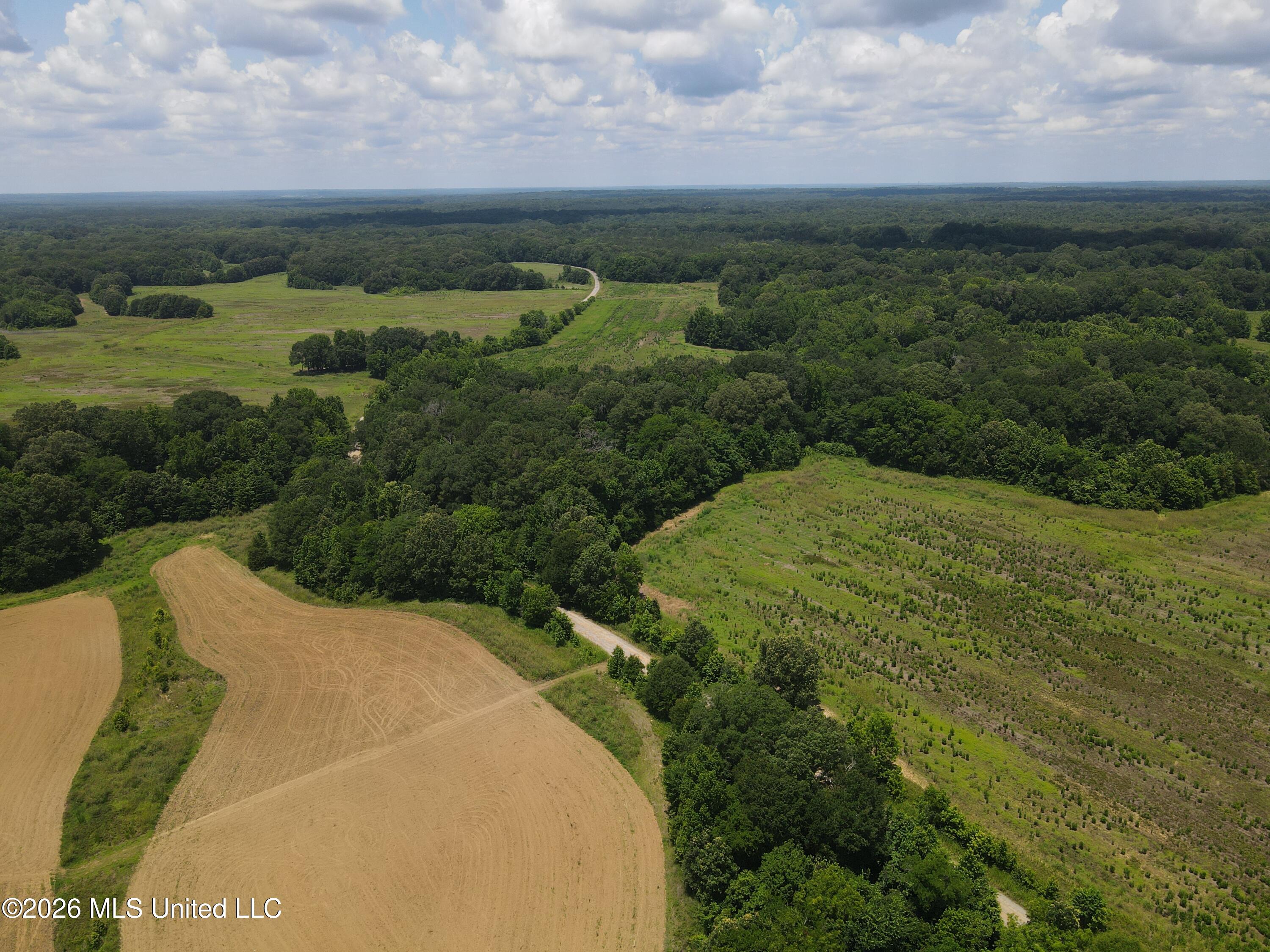 Old Port Gibson/cook Road Property Photo 56