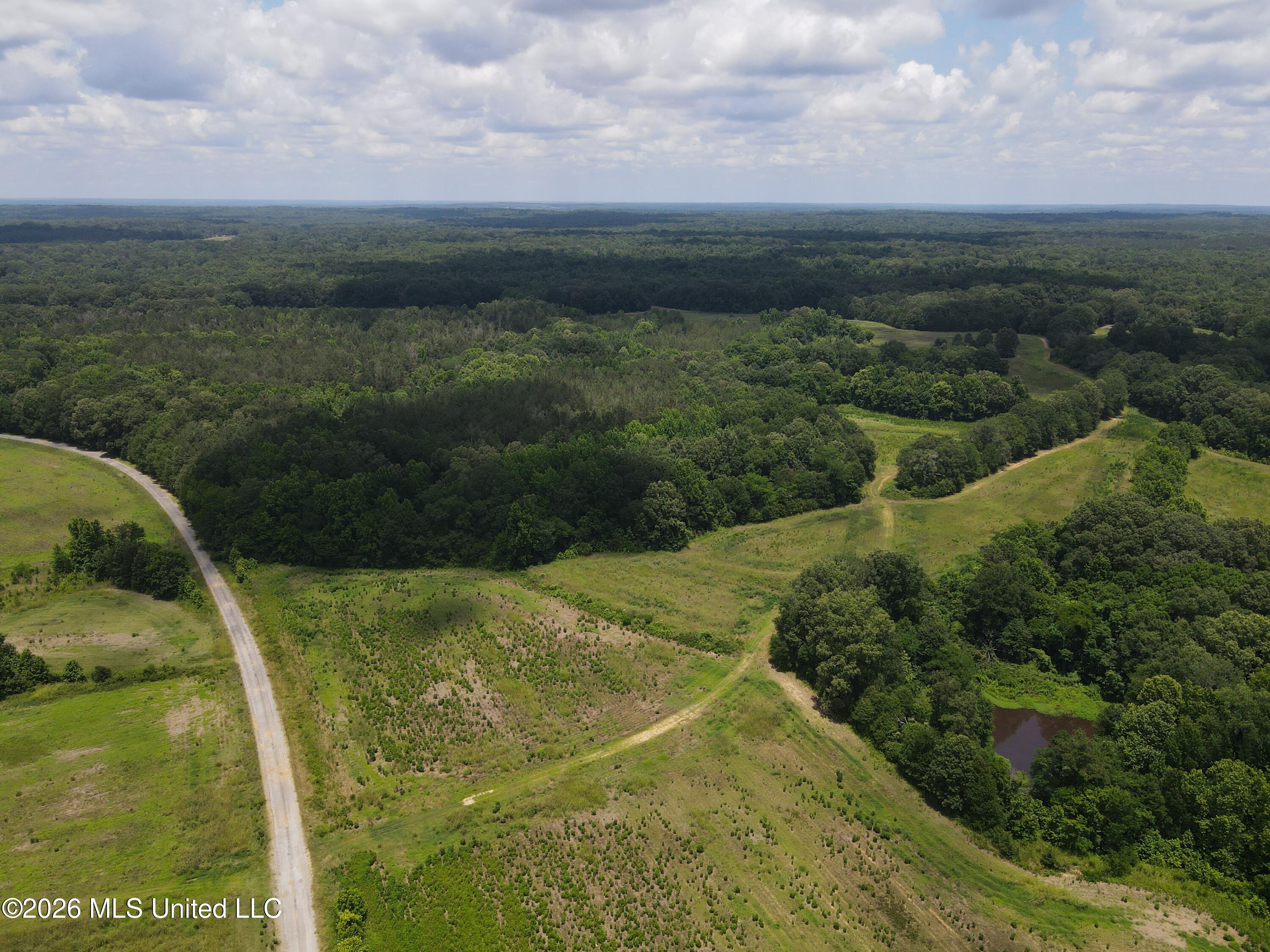 Old Port Gibson/cook Road Property Photo 57