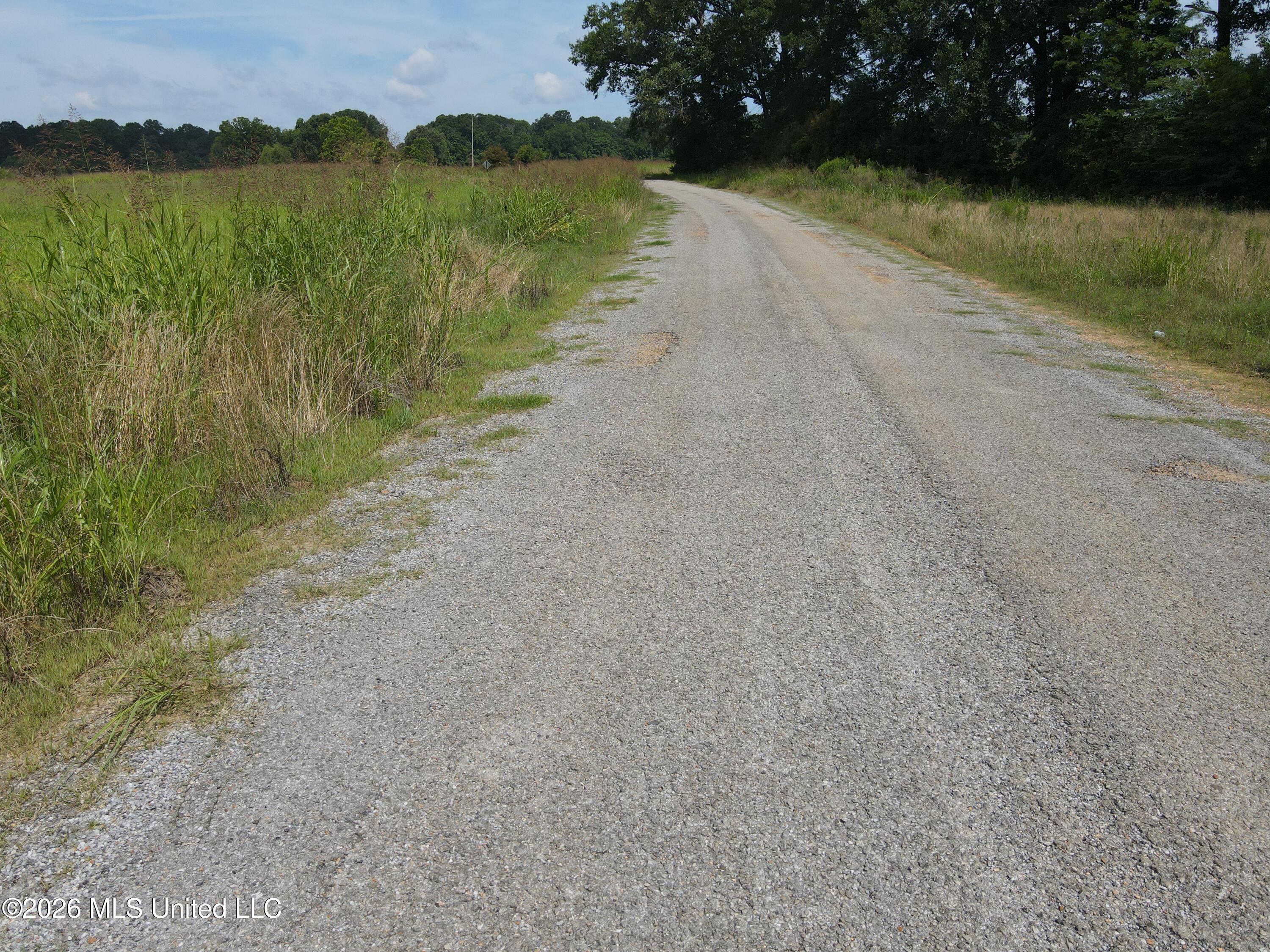 Old Port Gibson/cook Road Property Photo 58