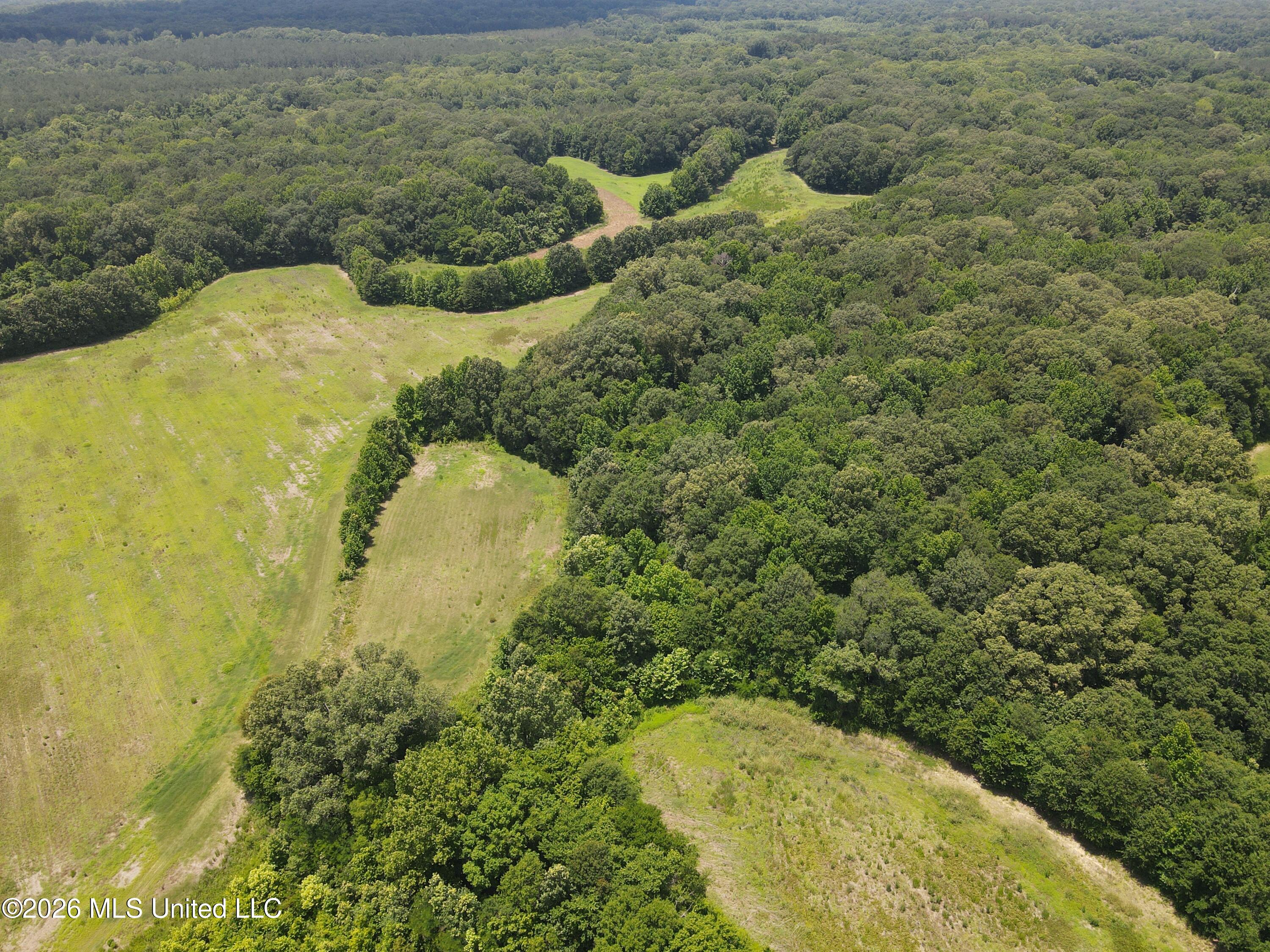 Old Port Gibson/cook Road Property Photo 59