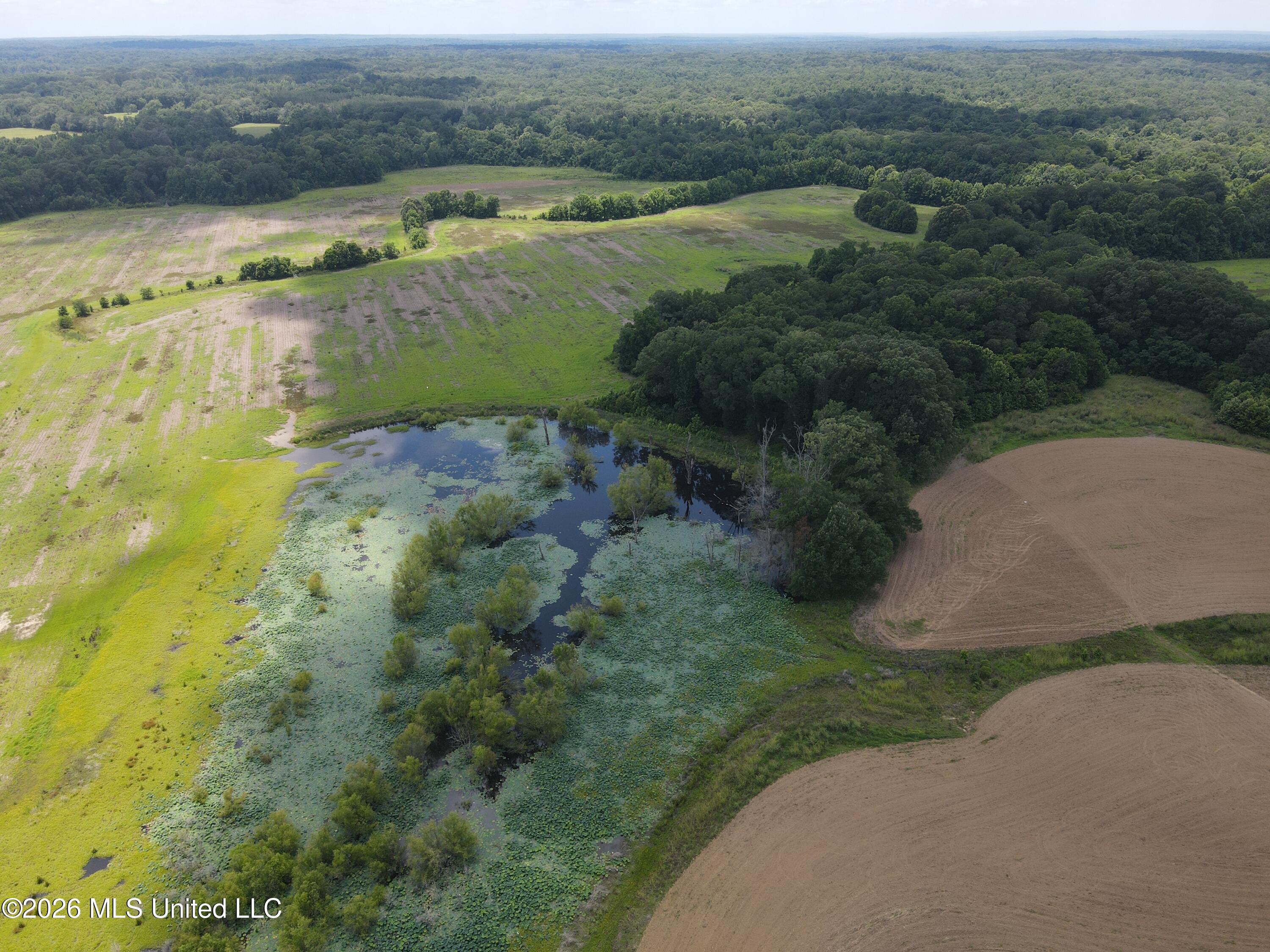 Old Port Gibson/cook Road Property Photo 60