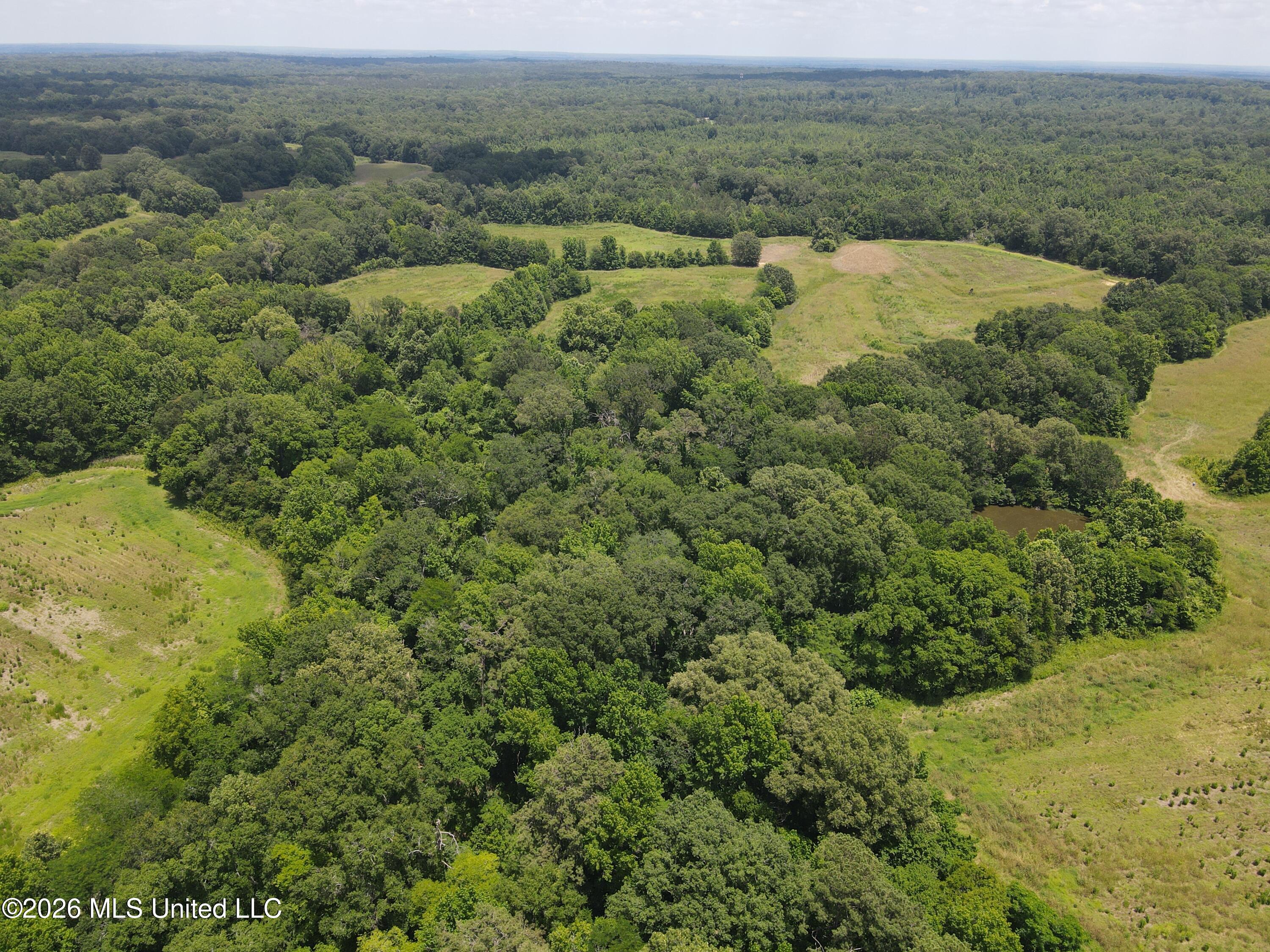 Old Port Gibson/cook Road Property Photo 61