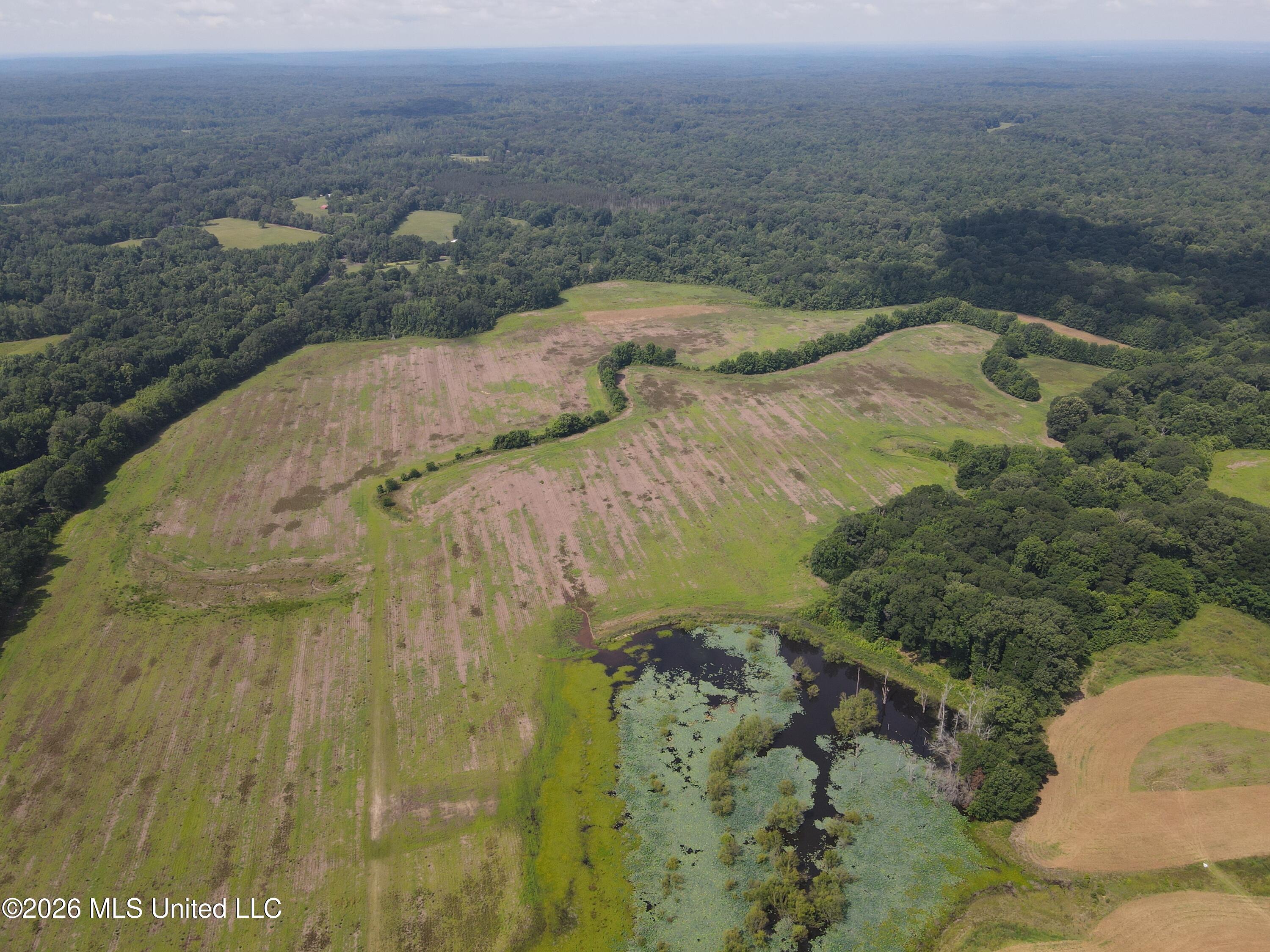 Old Port Gibson/cook Road Property Photo 62
