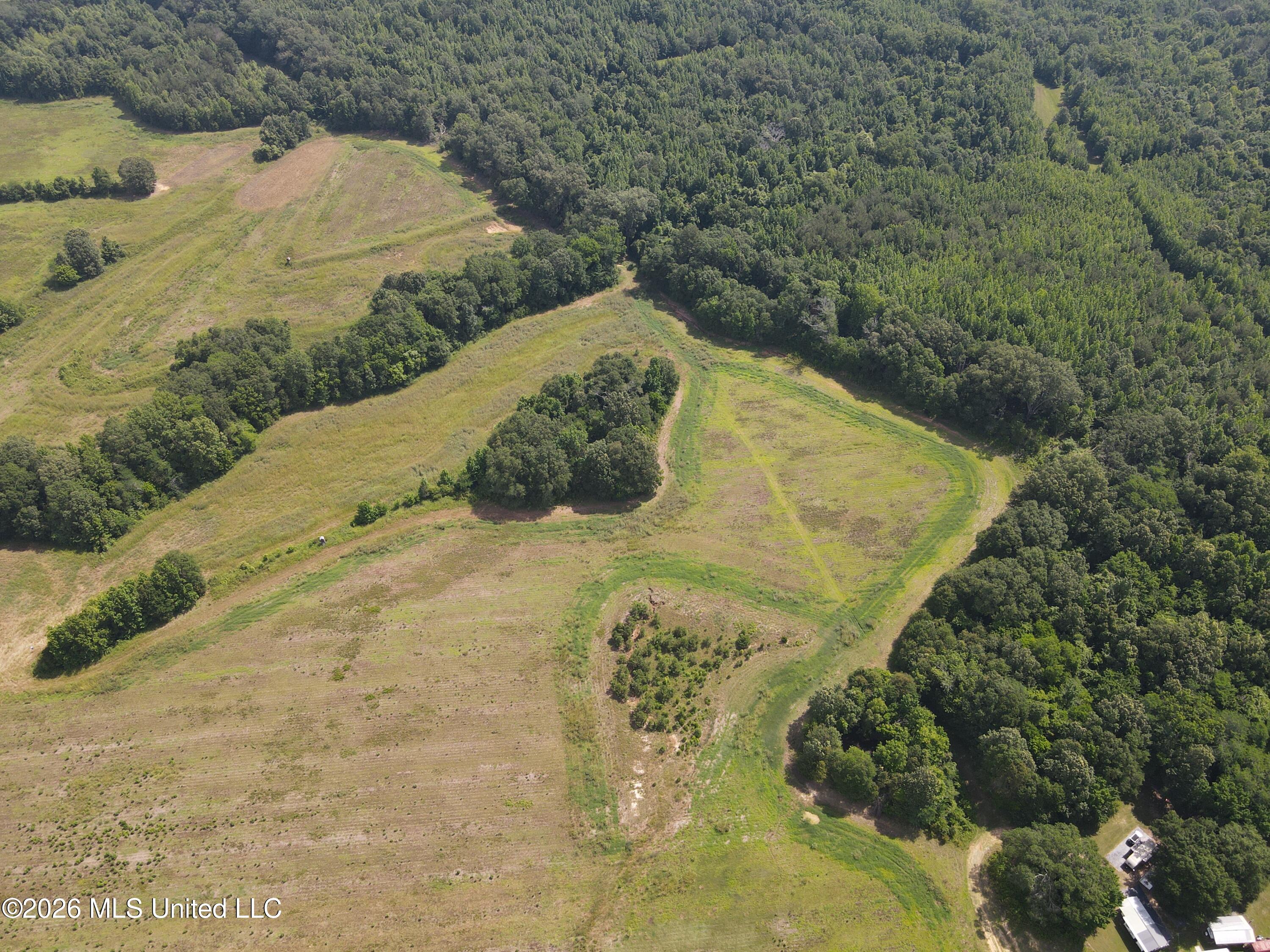 Old Port Gibson/cook Road Property Photo 63