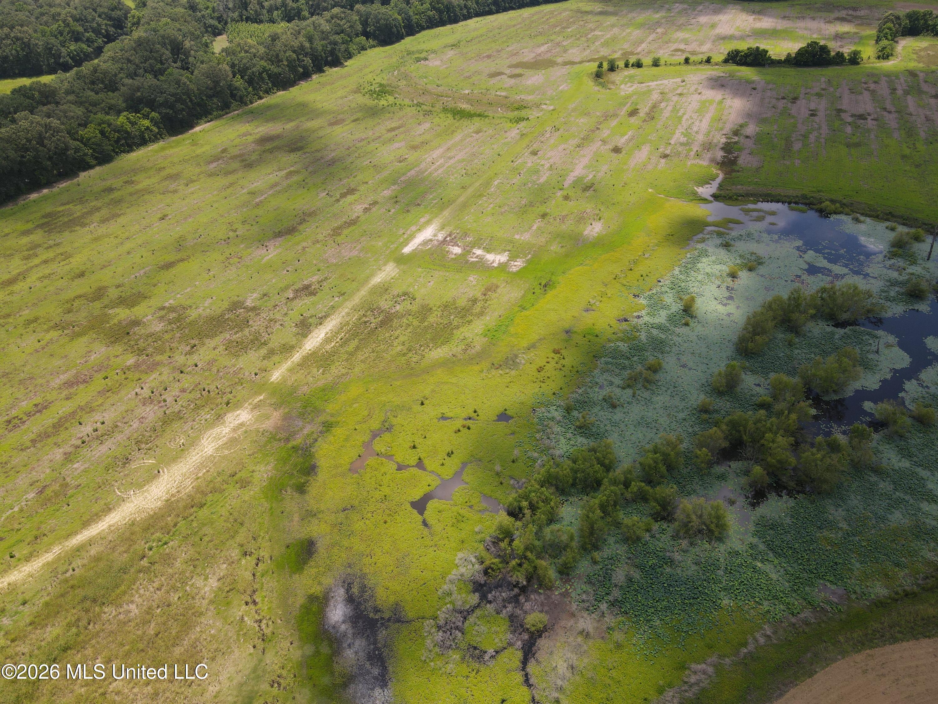Old Port Gibson/cook Road Property Photo 64