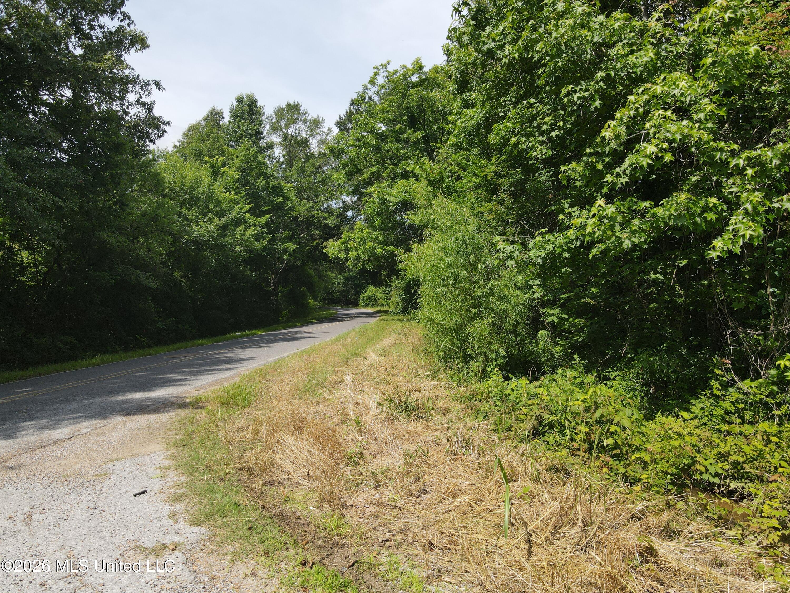 Old Port Gibson/cook Road Property Photo 65