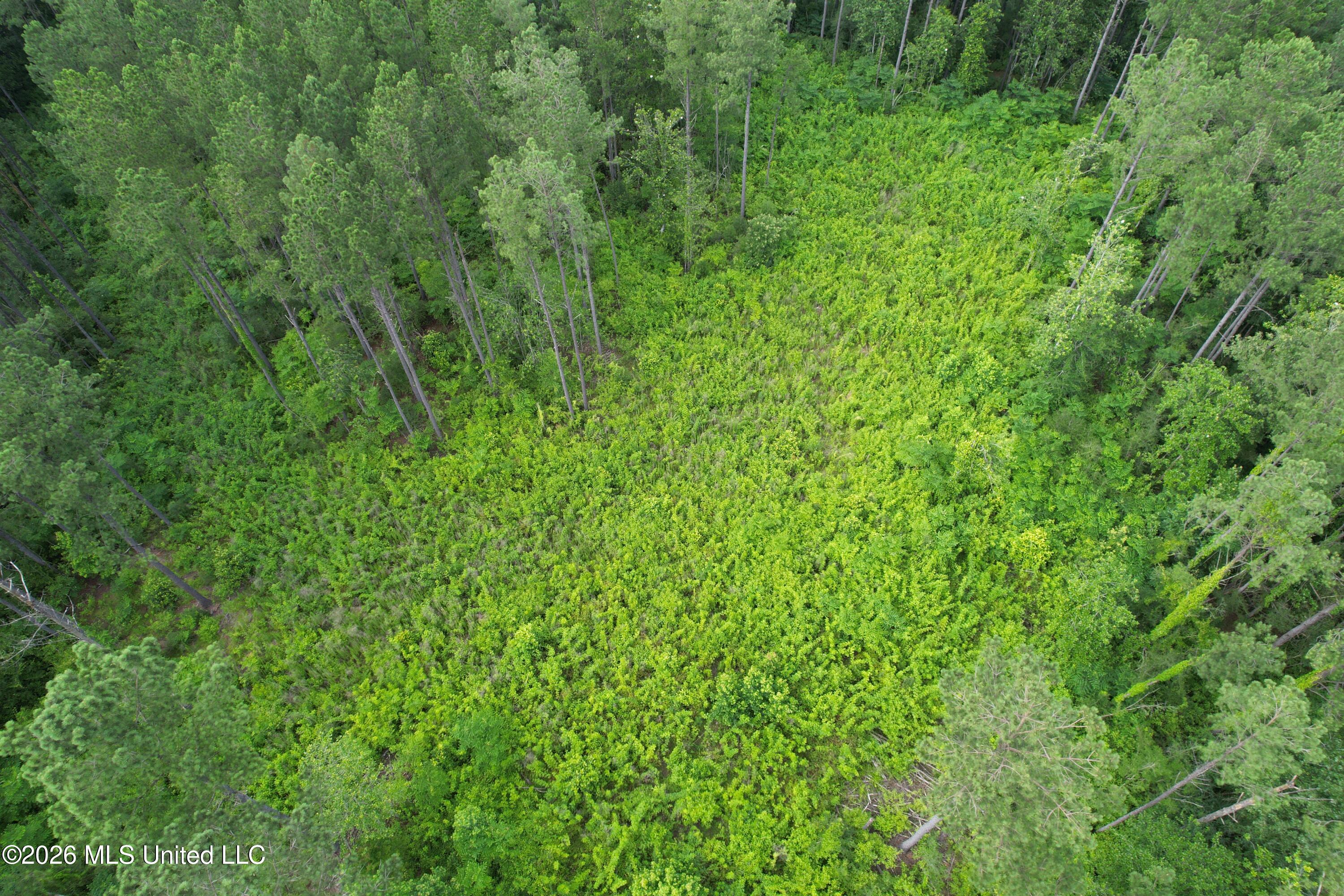 Highway 48 Property Photo 4