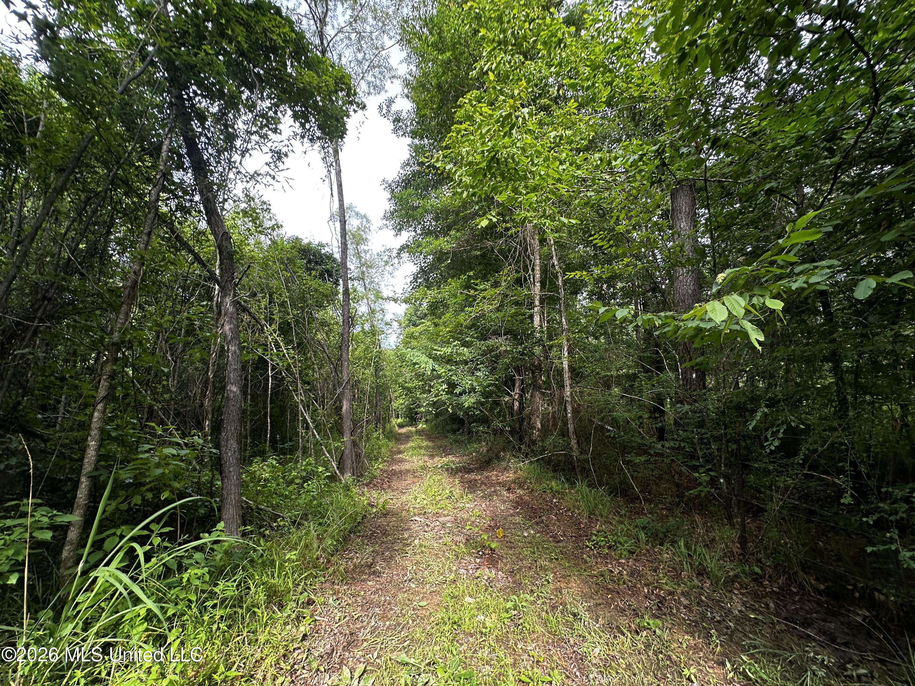 Highway 48 Property Photo 6