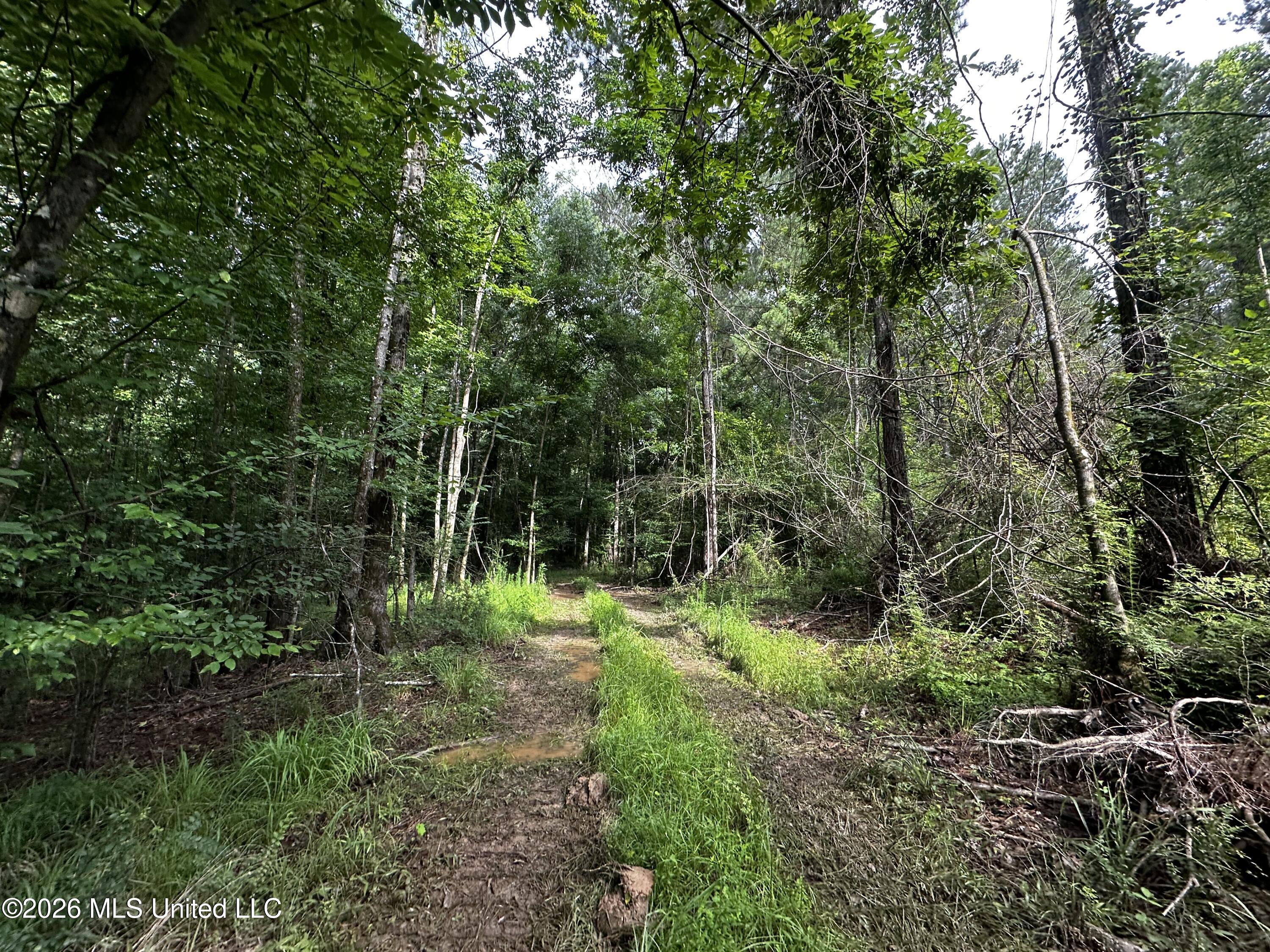 Highway 48 Property Photo 8