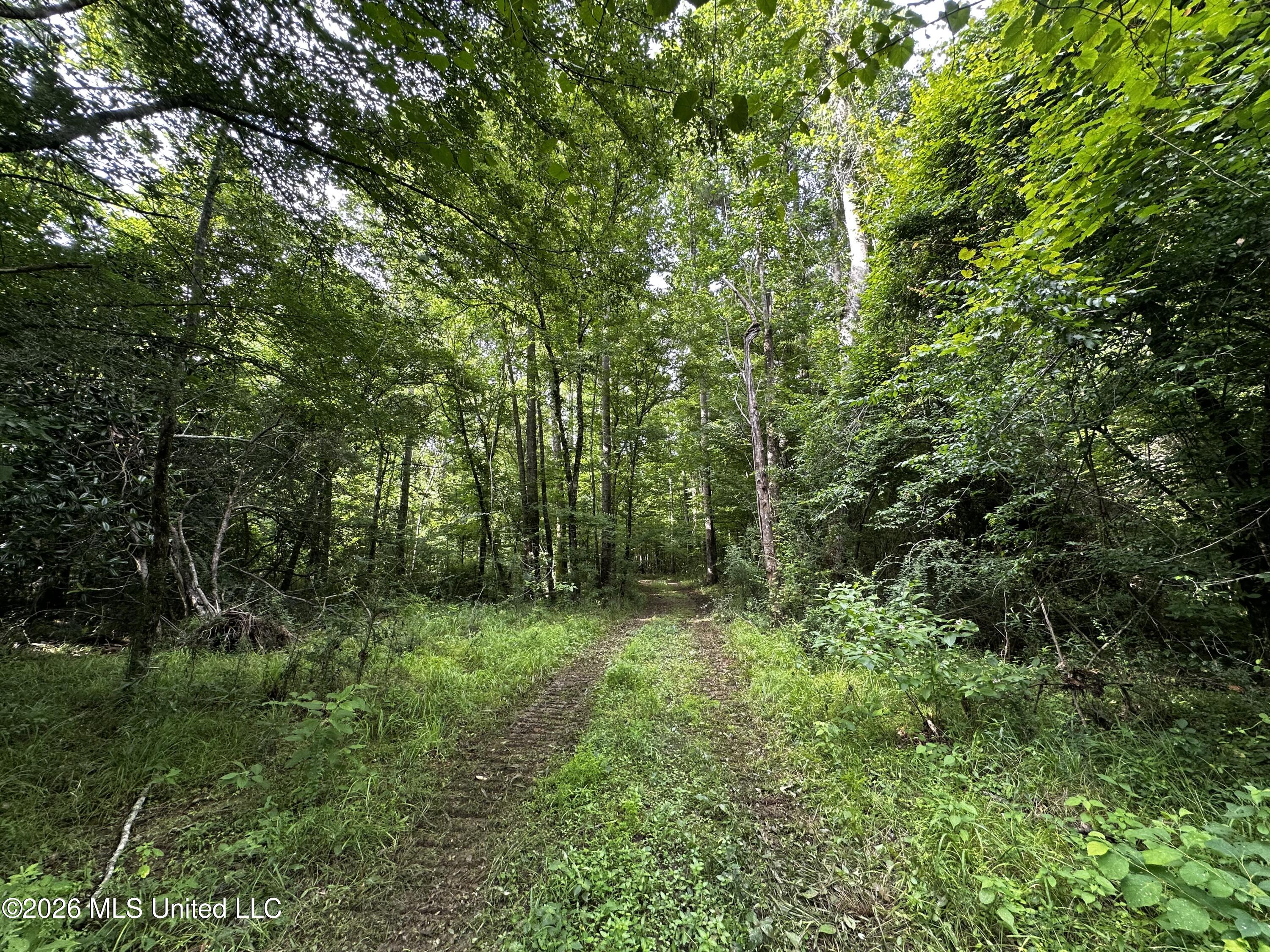 Highway 48 Property Photo 11