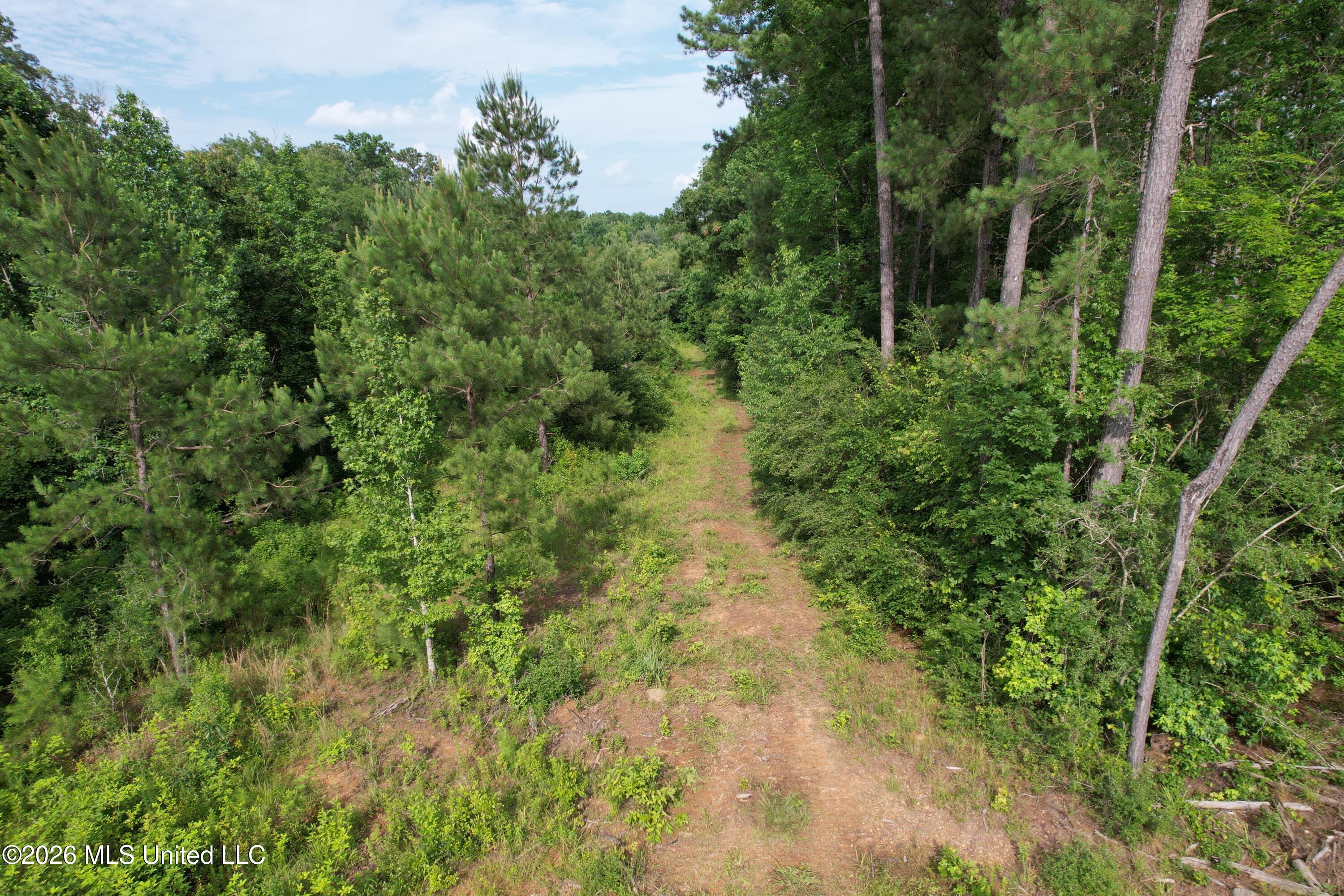 Highway 48 Property Photo 12