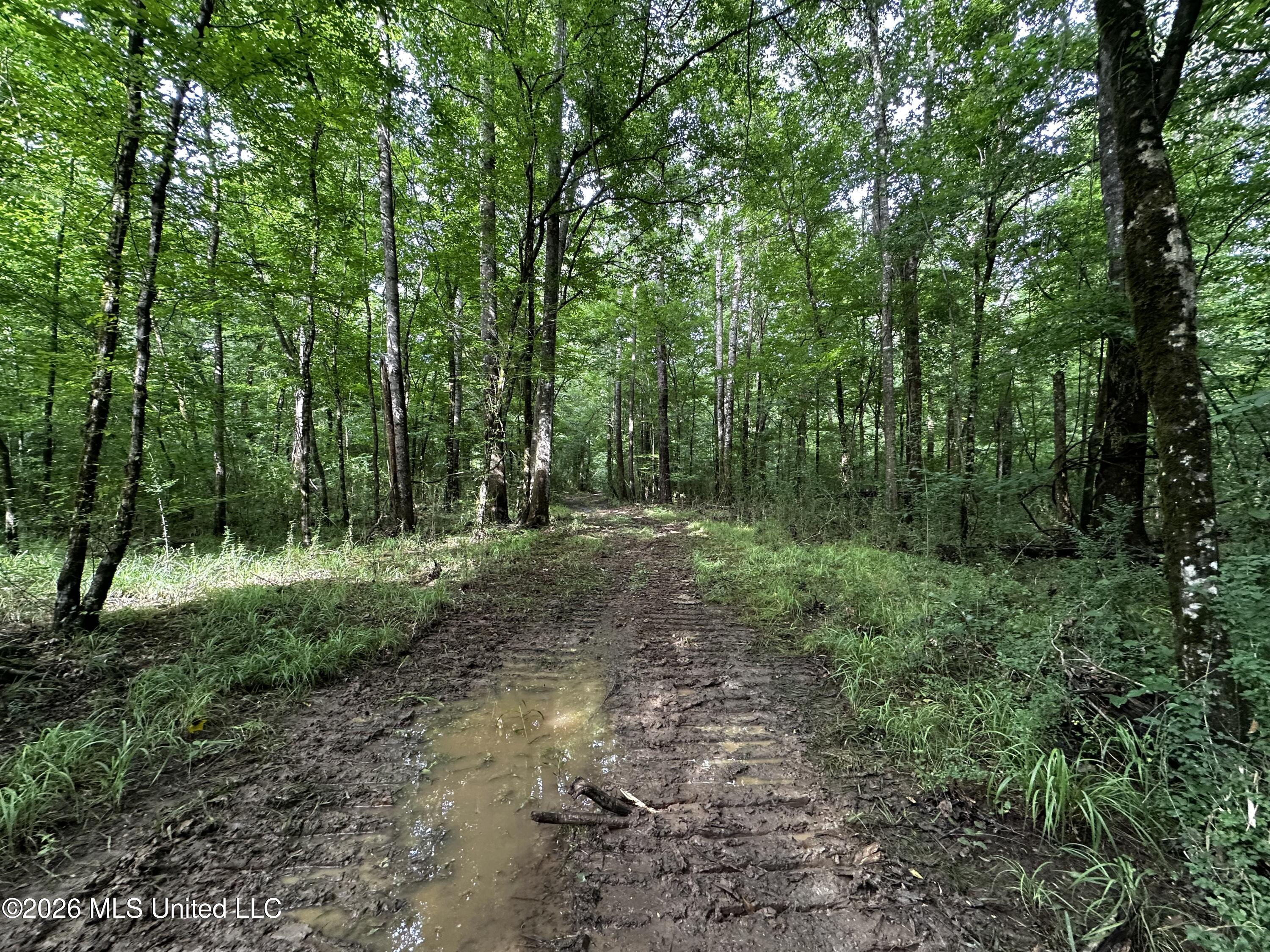 Highway 48 Property Photo 15