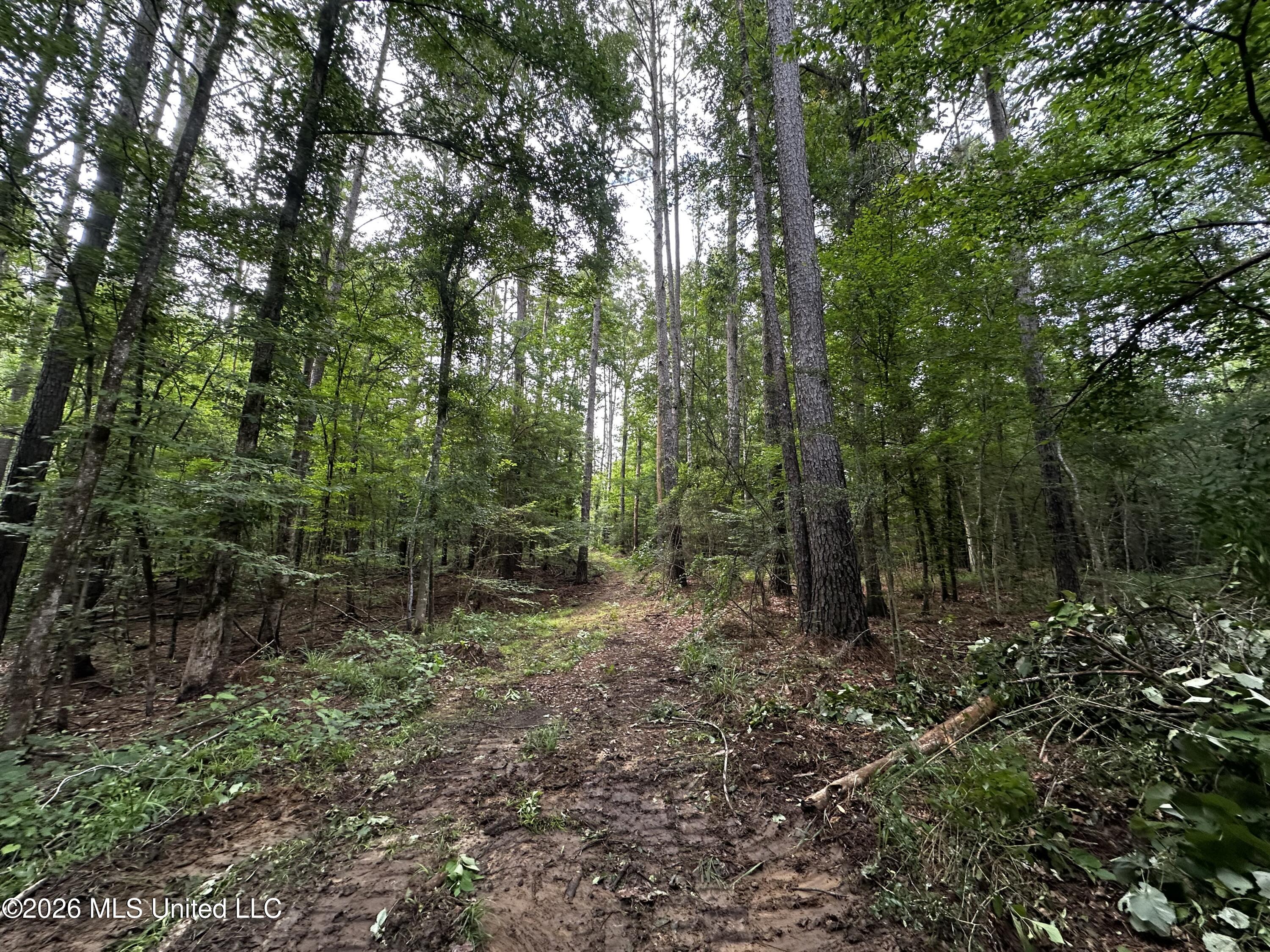 Highway 48 Property Photo 19