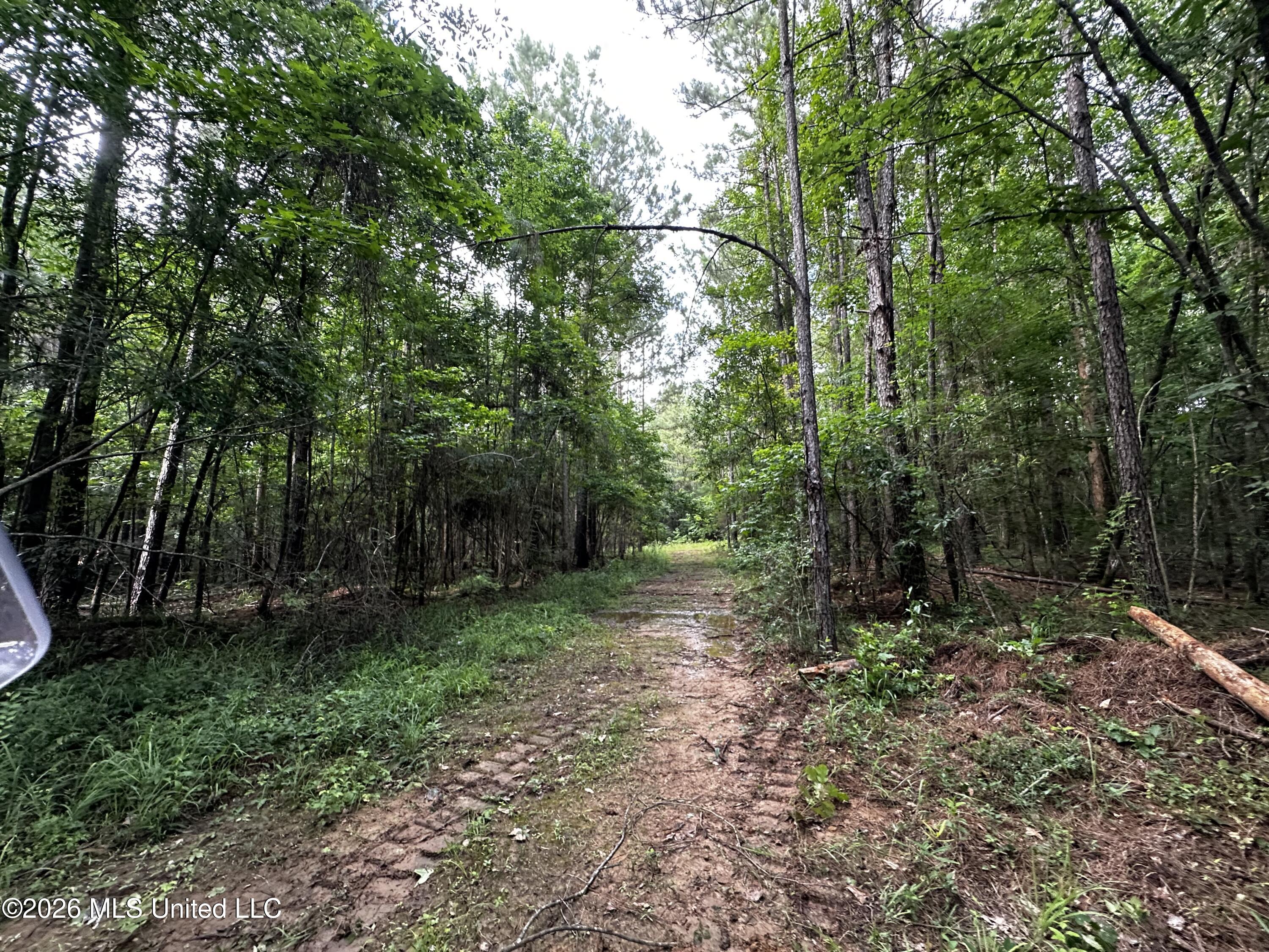 Highway 48 Property Photo 20