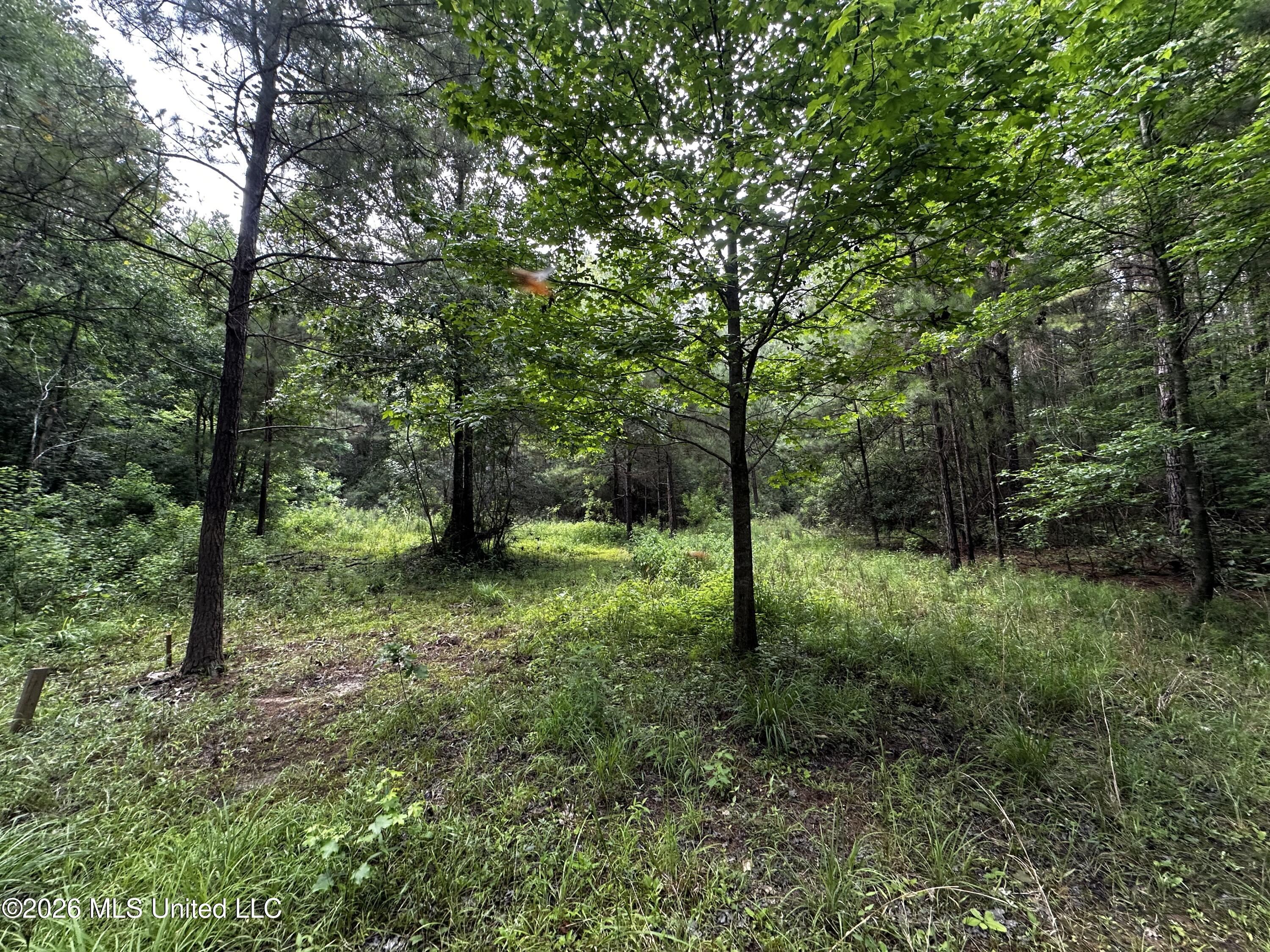 Highway 48 Property Photo 21