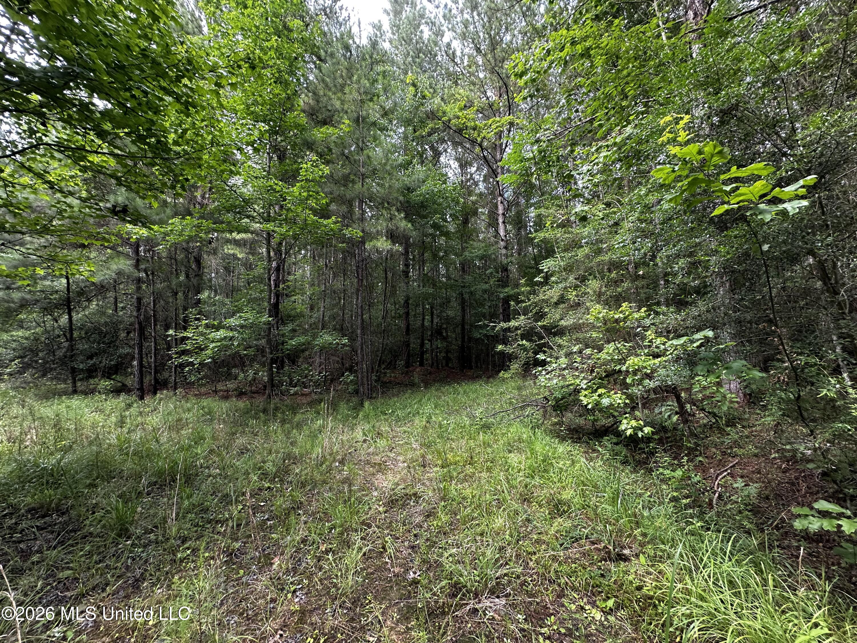 Highway 48 Property Photo 22