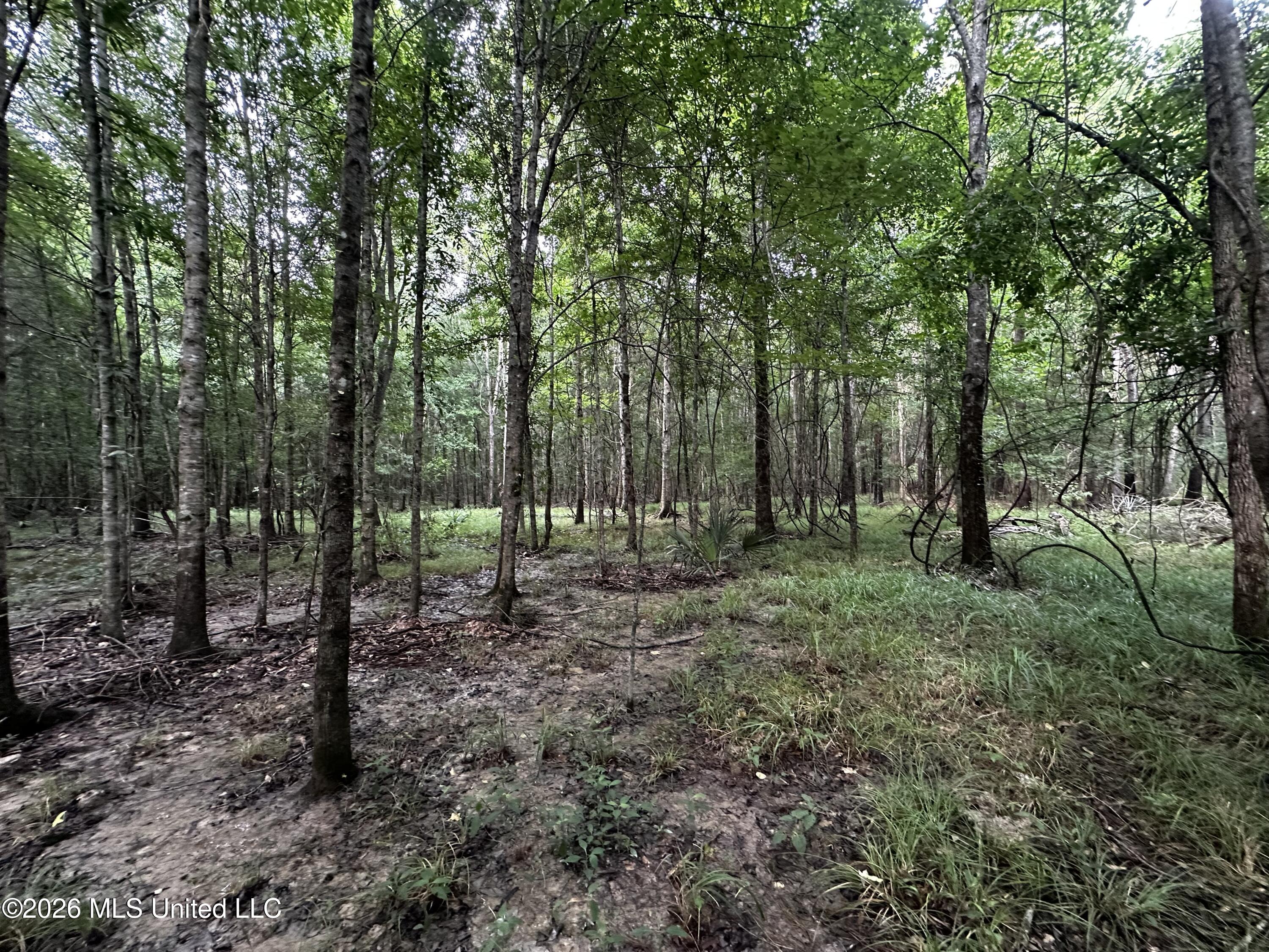 Highway 48 Property Photo 23