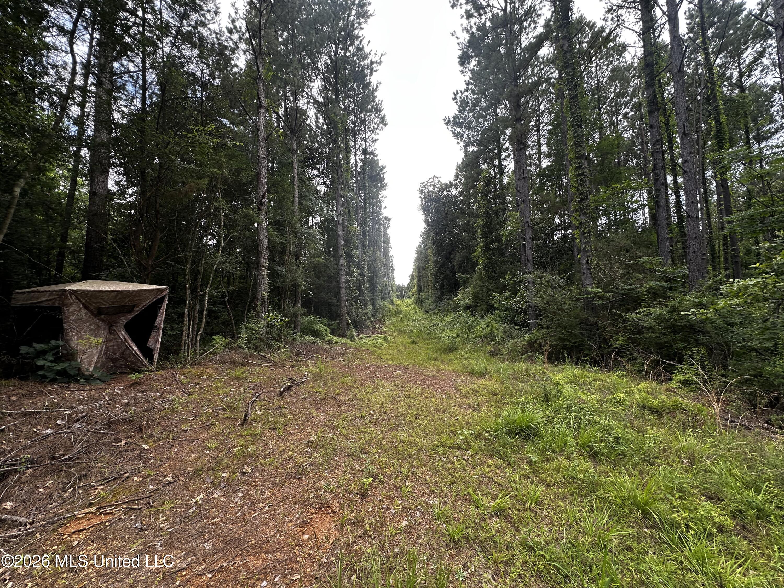 Highway 48 Property Photo 25